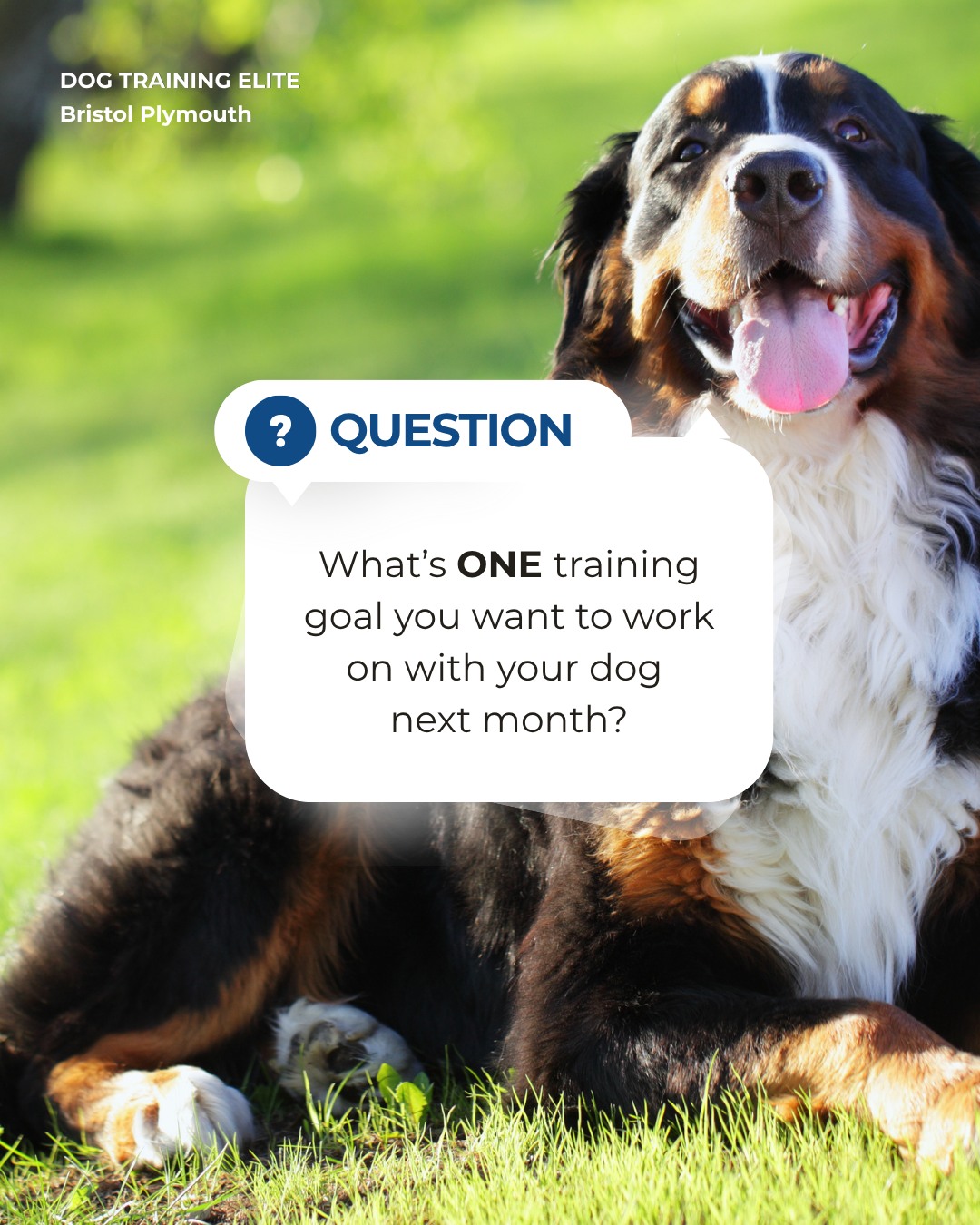 Before September wraps up, check in on your dog&rsquo;s progress. 🐾

What&rsquo;s the next goal you want to work toward: better recall, calmer walks, more focus, or something else?

At Dog Training Elite Bristol Plymouth, we help dogs and their owners in Plymouth turn training goals into real-world results.

Tell us your goal in the comments!

