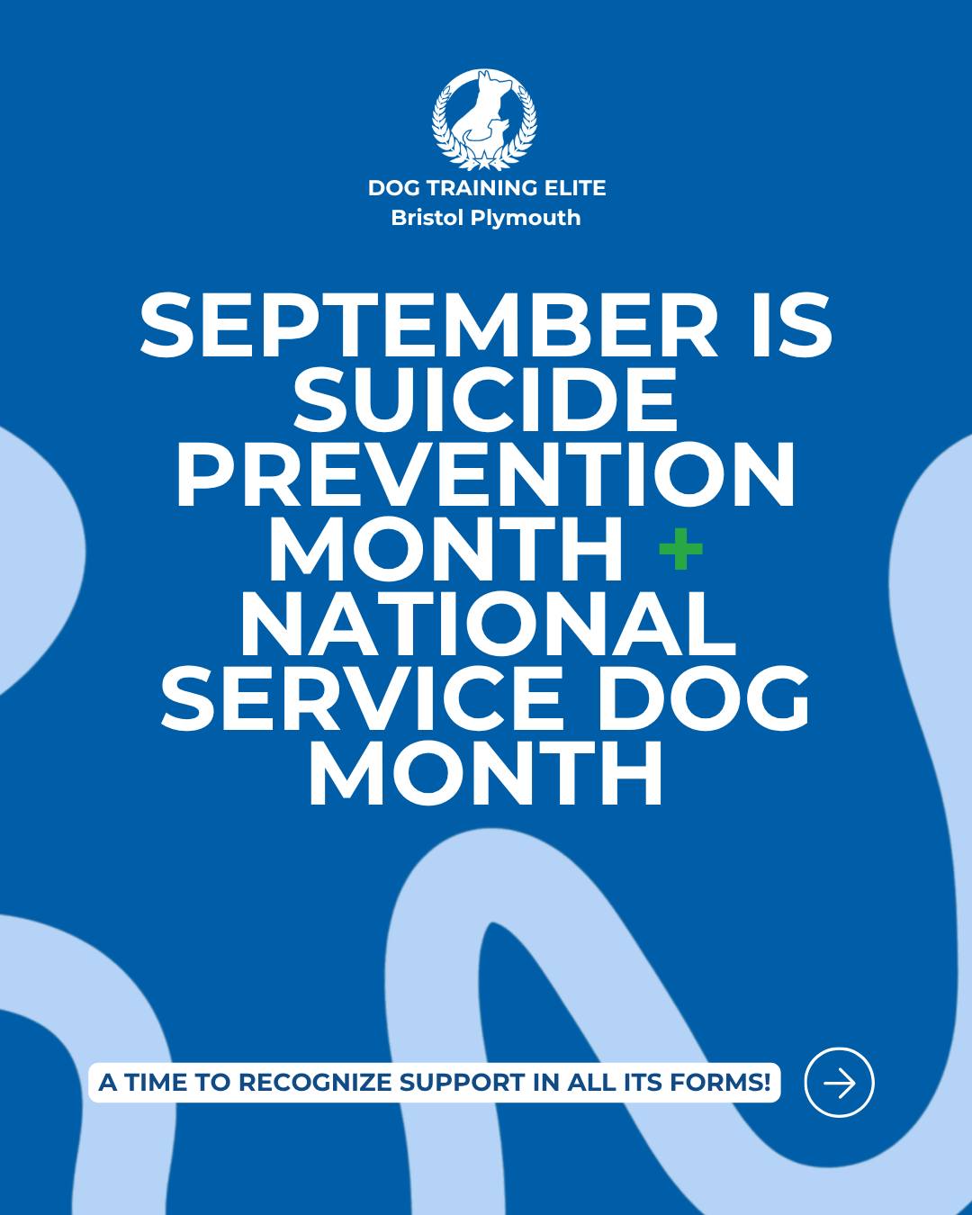 September is both Suicide Prevention Month and National Service Dog Month, making it an important time to recognize the many ways support can make a difference. 💙

At Dog Training Elite Bristol Plymouth, we&rsquo;re proud to recognize the incredible partnerships between Service Dogs and their handlers and the meaningful role dogs can play in our lives.

This September, we encourage our Plymouth community to check in, stay connected, and remember that support matters.

