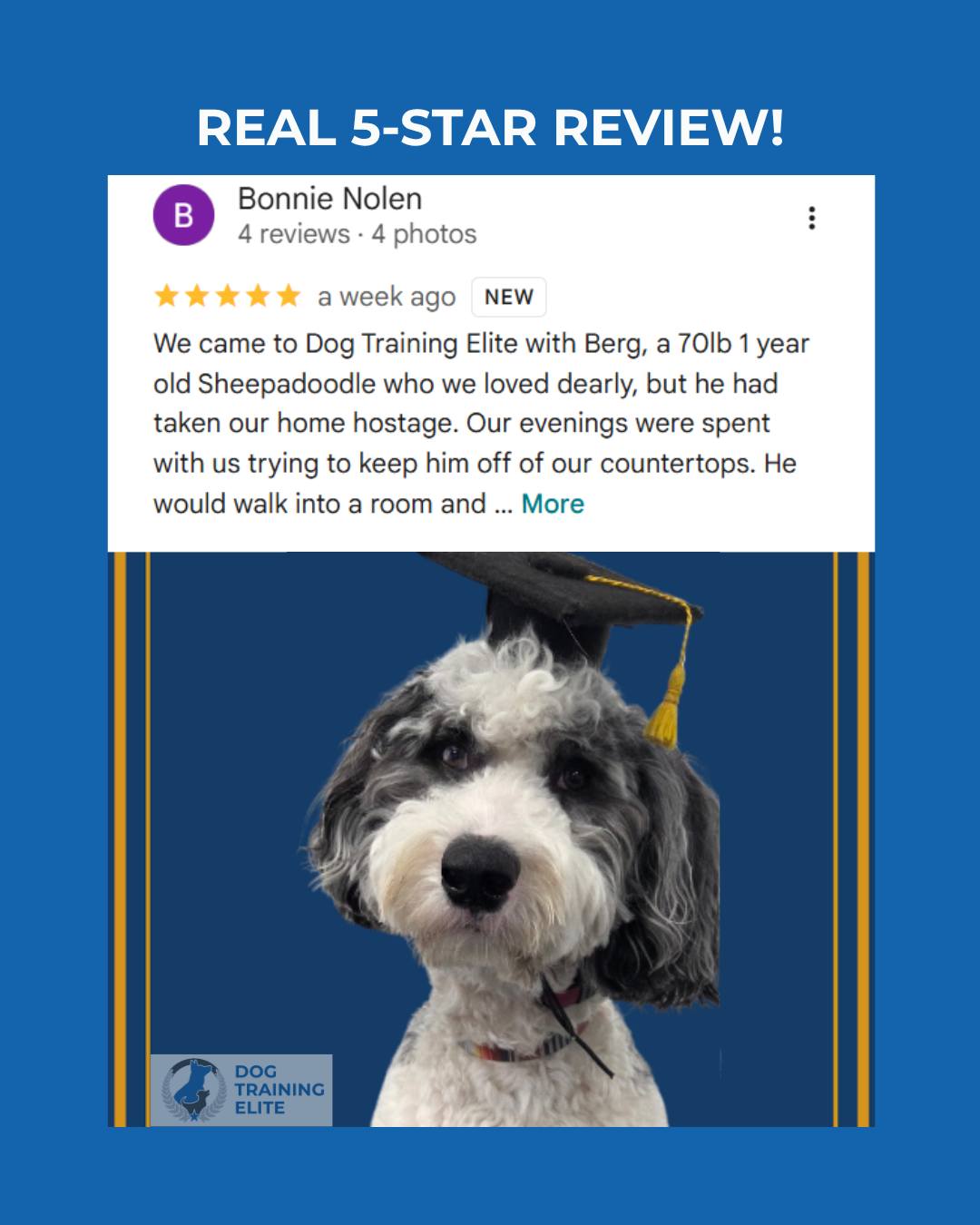 Bonnie brought us Berg, a 70‑pound one‑year‑old Sheepadoodle she loved dearly&hellip; and who had basically taken their home hostage. Counter surfing, stealing anything he could find, one sock‑swallowing surgery already paid for, doors always closed, evenings spent entertaining or locking him up for safety. He was great with their son, but had attacked Bonnie and her husband when they didn&rsquo;t do what he wanted. Walks were a tug‑of‑war with reactivity on top.

After our two‑week Platinum program, the first thing they noticed was how fast he stopped the worst behaviors. Within days he was off the counters and they could leave doors open. A few months later, evenings are calm, Berg can find his own entertainment, they walk in heel, and they even go to the farmer&rsquo;s market. Bonnie jokes that he got a lobotomy, but what really changed is that he finally has clear boundaries and a way to use his brain. &ldquo;We loved him before, but the ability for us to relax around him has increased our relationship with him 100%.&rdquo;

If you&rsquo;re reading this and thinking, &ldquo;That sounds like our house right now,&rdquo;
Text or call 417‑427‑3797 to tell us about your dog, or book a quick 10‑minute fit call here:
https://tinyurl.com/yfxd2xyj

