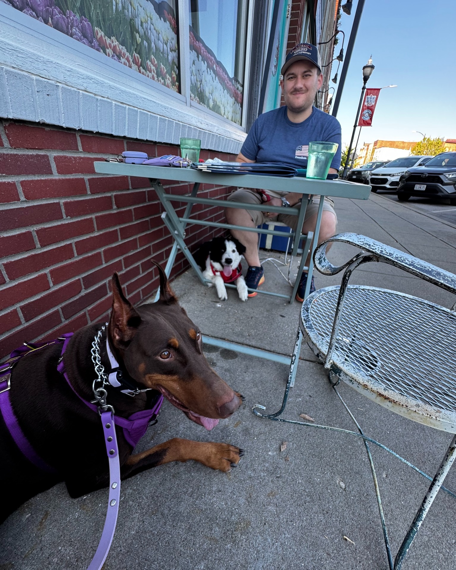 Grace and Kenny sent us this photo from Labor Day weekend. They went to brunch with two dogs, including Finnegan, their recently trained puppy under six months old, and Ginger, who used to be dog reactive.

Now both dogs get to join the family for an outing at a pet-friendly patio. That is a win for the dogs, but it is also a win for the people who no longer have to leave someone home or spend the whole meal managing chaos.

Training gives families more ways to enjoy life together.

If you&rsquo;re watching this and thinking, &ldquo;I&rsquo;d love to take my dog out with us instead of leaving them home,&rdquo;
Text or call 417-427-3797 to tell us about your dog, or book a quick 10-minute fit call here:
https://tinyurl.com/yfxd2xyj

