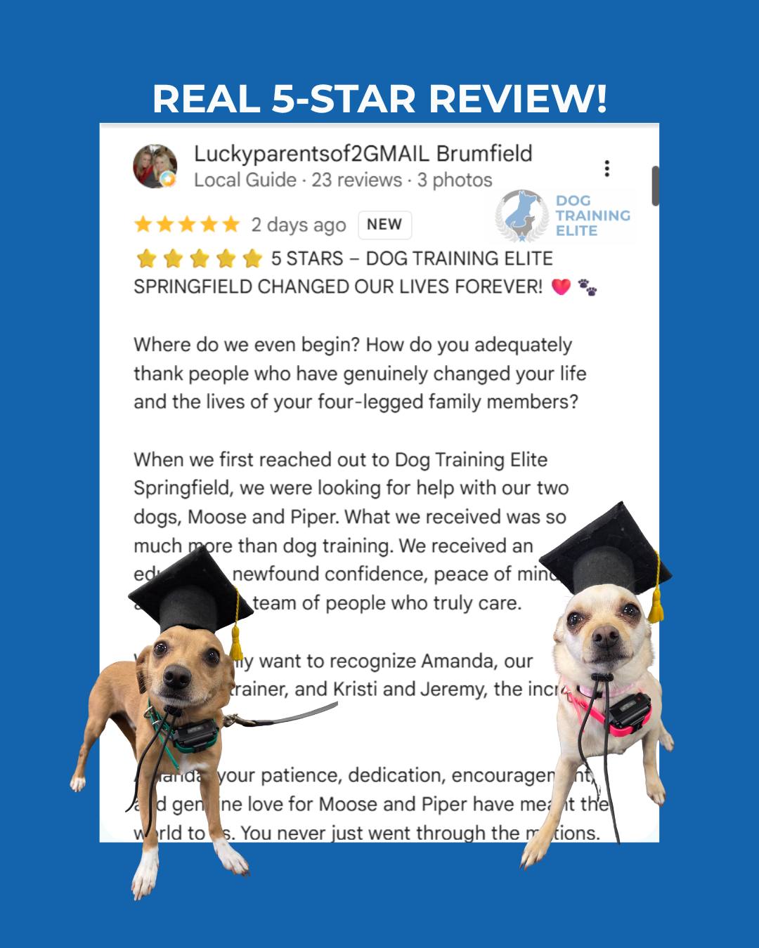Kevin and Michelle came to us for help with Moose and Piper. What they say they received was much bigger than better-behaved dogs: education, confidence, peace of mind, and a stronger relationship with both dogs.

Their review says the biggest change was not just in Moose and Piper. They learned how to understand, communicate with, and lead their dogs so the results could continue at home.

That matters because training is not finished when the dog listens to the trainer. It is finished when the family knows how to handle the dog in real life.

They called it an investment in their family, their dogs&rsquo; futures, and years of happiness together. That is exactly what we want families to get from this work.

If you want to understand your dog better and feel more capable handling them, call 417-427-3797 to tell us about your dog.

