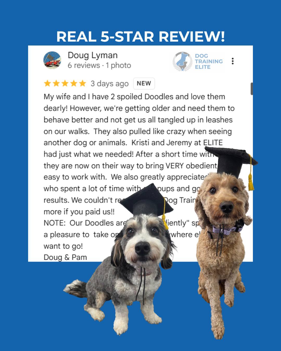 Doug and Pam loved their two Doodles, but getting older had made their walks harder. The dogs pulled, tangled them in the leashes, and reacted strongly when they saw another dog or animal.

After training, Stella and Bernie are becoming easier to work with and more enjoyable to take on walks and outings. Doug and Pam described them as &ldquo;obediently spoiled,&rdquo; which sounds about right.

The goal was never to take away the dogs&rsquo; personalities. It was to help the family enjoy the dogs they already loved without getting dragged through every walk.

That is what better handling creates: more freedom for the family and more places for the dogs to go.

If you&rsquo;re watching this and thinking, &ldquo;I love my dogs, but I need them to be easier to handle,&rdquo; text or call 417-427-3797 to tell us about your dog.

