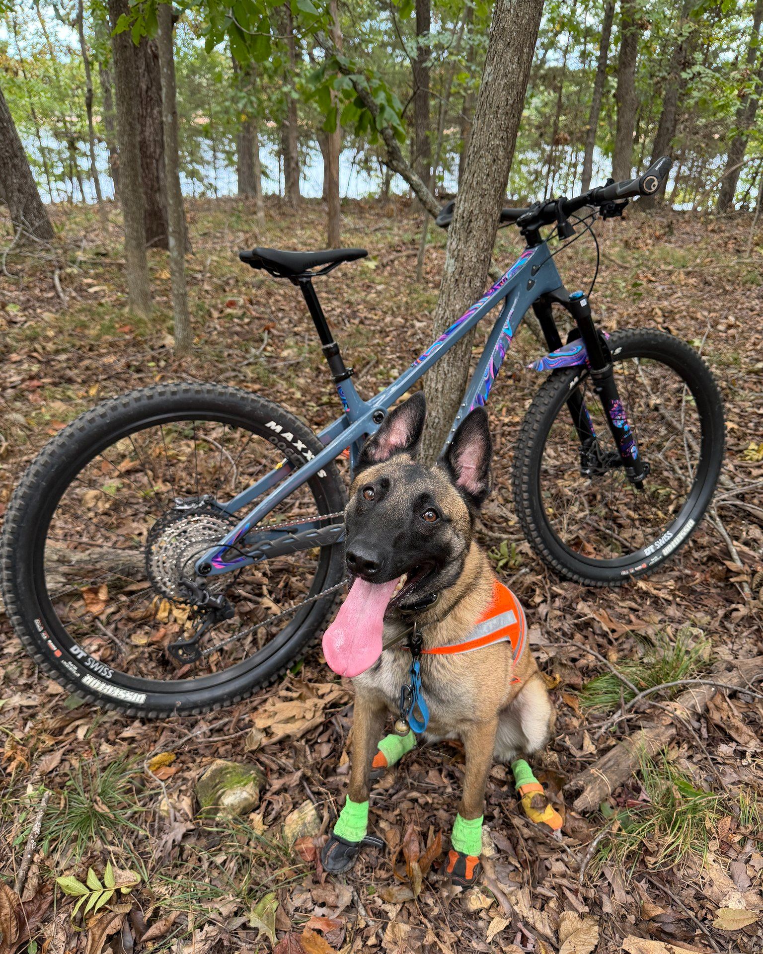 One of my favorite things to do with Olive is ride a bike together.

That exact adventure may not be what every family wants with their dog, and it is not the goal we promise every client. But the communication underneath it is the same foundation we teach families every day: the dog understands how to stay connected to the person.

Olive started with that foundation. The bike came later.

If you&rsquo;re watching this and thinking, &ldquo;I want my dog to be part of more of my life,&rdquo; text or call 417-427-3797 to tell us about your dog.

