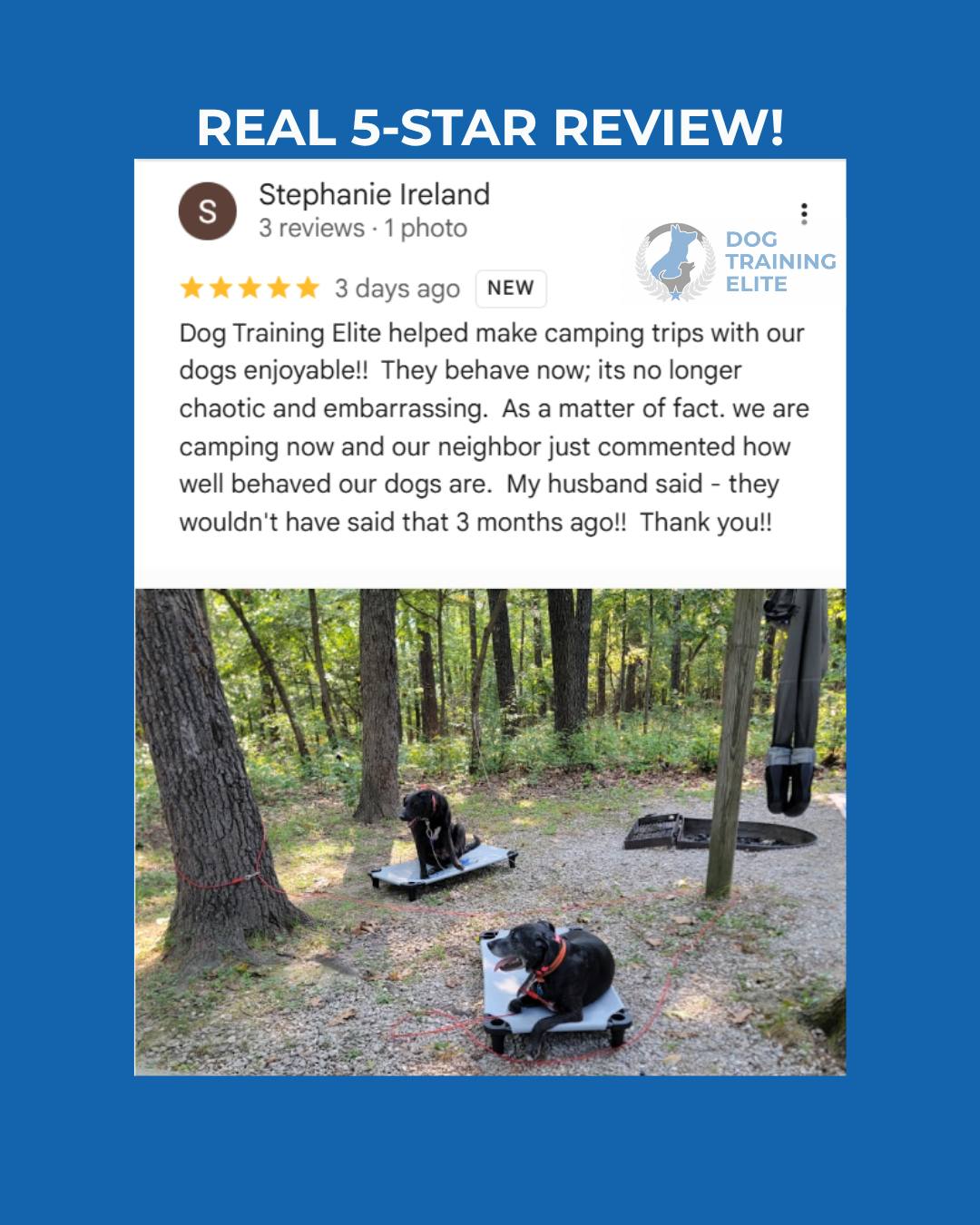 Stephanie was camping with her dogs when she decided it was time to write the review.

Prior to training, her husband had said, &ldquo;We cannot do this anymore. These dogs are not fit for being out here in the campground.&rdquo;

Now their camping neighbors were telling them how well-behaved the dogs were. Stephanie said her husband pointed out that three months earlier, nobody would have said that.

That is what changed: not just the dogs&rsquo; behavior, but what the family gets to do together. Camping went from something they were ready to quit to something other people noticed for the right reasons.

If your dog is starting to cost you the things you love, text or call 417-427-3797 to tell us about your dog, or book a quick 10-minute fit call here:
https://tinyurl.com/yfxd2xyj


