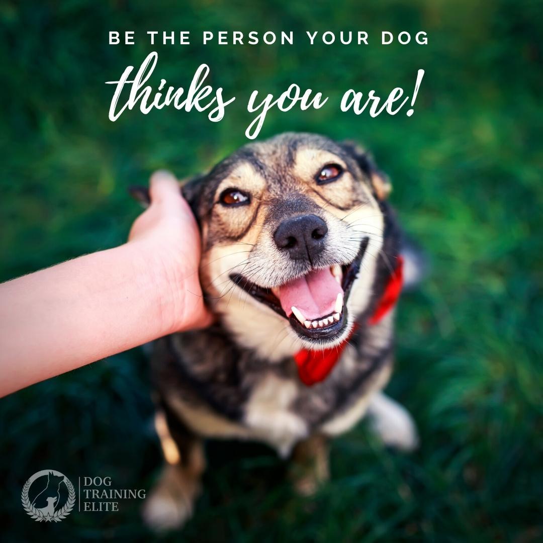 To your dog, you are the most fun, powerful, smart, resourceful, and basically limitless being on this planet. Imagine what every day could be like if you saw yourself that way! 
With advanced training, your dog will look up to you even more as the two of you learn to understand one another better. He will rise to the expectations you set because your dog wants nothing more than to please you. You are the center of his world, after all. 



