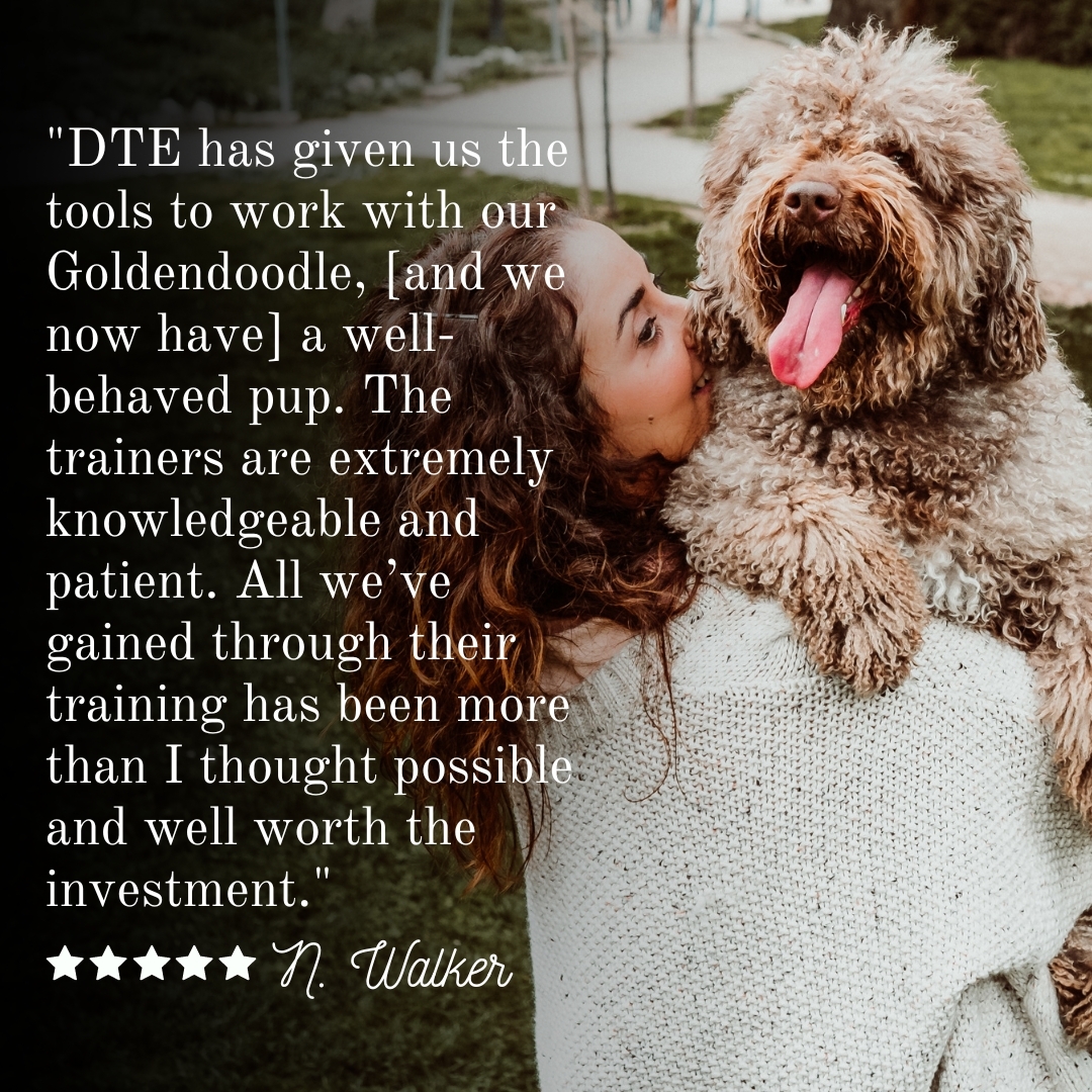 Goldendoodle, Maltese, Great Dane, or Doberman...we have a proven training system that makes any dog into the best.dog.ever.  Ask one of our trainers about our free in-home demo if you are curious about how we work such wonderful magic!

