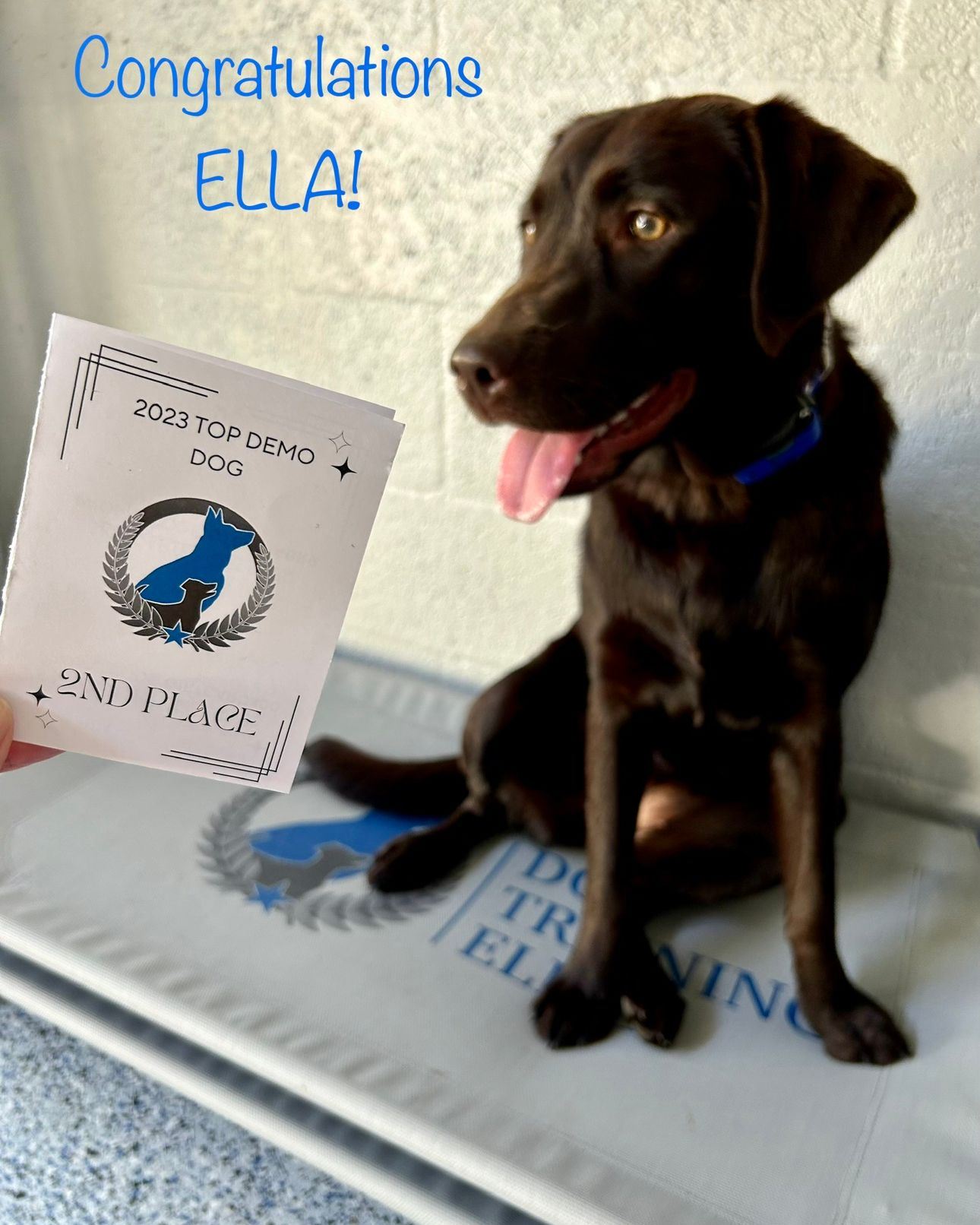 🐶💘🎉 CONGRATULATIONS ALISA & ELLA! 🎉 💘🐶. 

🎉They WON 2nd Place for the 2023 TOP DEMO DOG!  The award was presented a few weeks ago at the DTE Convention in Las Vegas 🎉

 