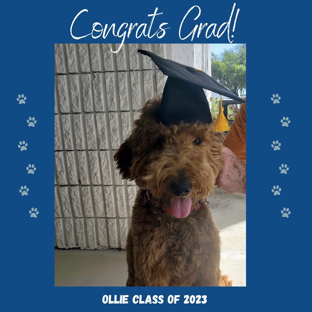 Congrats Ollie! We’re so proud of you! Such a good boy, and now onto group class!