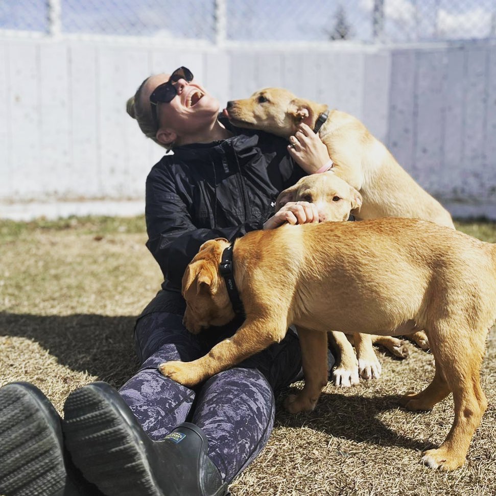 Puppies!!!! We love puppies!!! 🐾🐾

It might be cute when they’re little, but as they get bigger PUPPY behavior can be difficult to manage. 

If you’re looking for advanced obedience, service dog training or just some Puppy Basics we’d love to chat! 

We look forward to hearing from you! 

