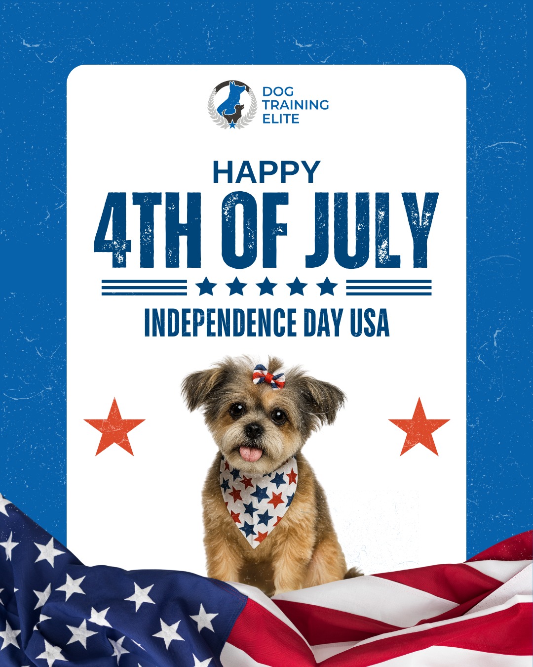 Happy 4th of July from all of us at Dog Training Elite Treasure Coast / North PB County! 🇺🇸🐾 

Today we celebrate the freedom that we enjoy and the loyal companions who stand by our side every step of the way. Here's to independence, obedience, and tail-wagging joy! 🎆

Meet our cute model, Lexi, showing off her patriotic spirit in style! 🎆🐶 

🐶🇺🇸🐶
