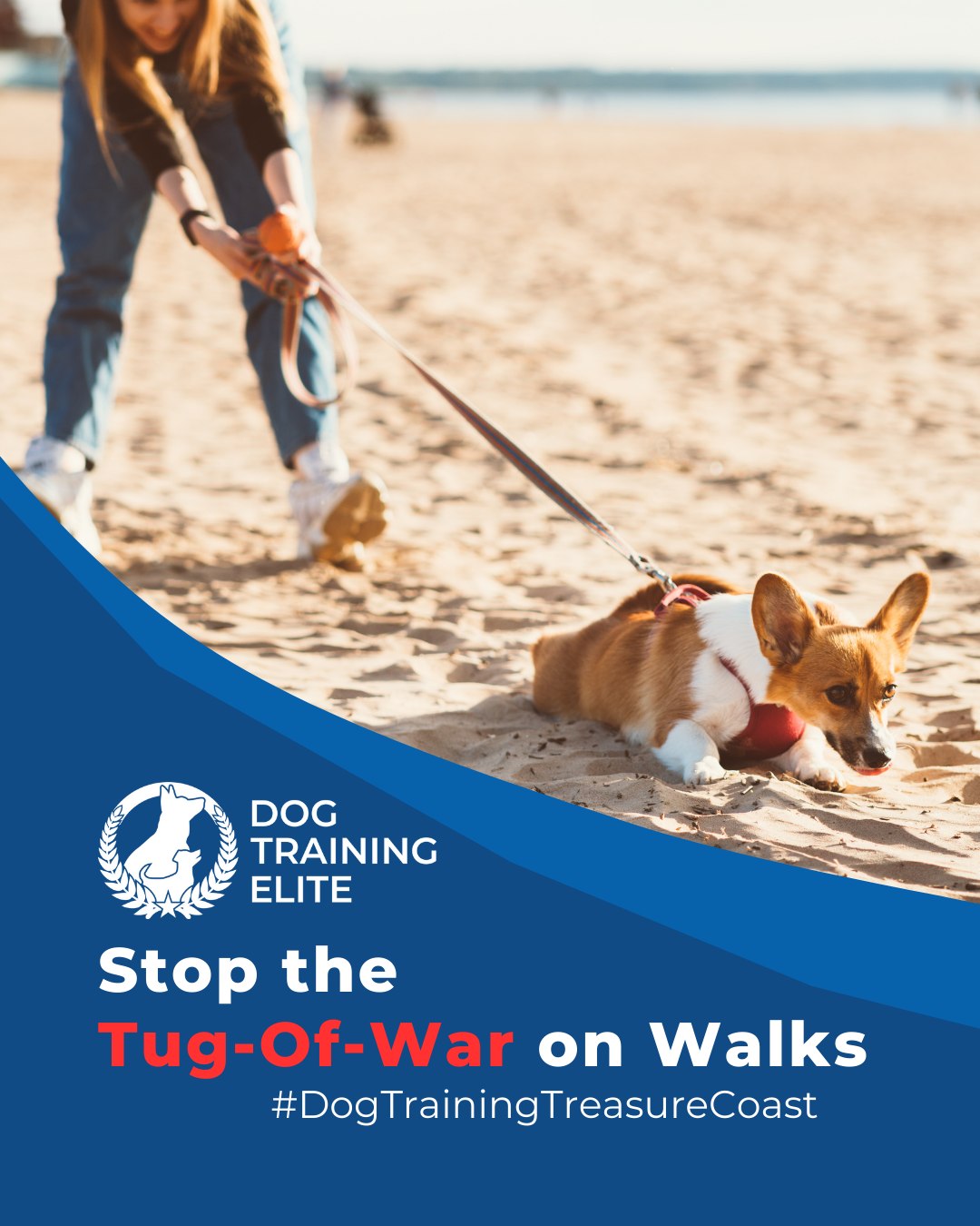 Leash pulling is one of the most common challenges for dog owners. Balanced training teaches your dog to walk calmly at your side, improving safety and enjoyment for both of you. Try these strategies:
 🐾 Use consistent cues so your dog understands what’s expected
 🐾 Reward calm walking immediately to reinforce good behavior
 🐾 Practice short, frequent sessions to build focus and consistency
With patience and structure, your walks become stress-free, giving your dog confidence and improving your bond.

📌 Whether it’s leash manners, obedience, or service training, Dog Training Elite Arizona offers personalized programs near Clover Park and Jupiter Inlet Lighthouse & Museum, helping dogs shine all winter long. Cozy season, confident pups. ✨
 📍 https://maps.app.goo.gl/GoKydqnuQemEUUwQ8



