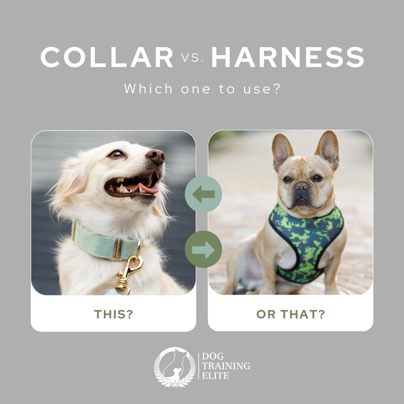 When it comes to walking our dogs, choosing the right equipment is crucial for their safety and comfort. Let's weigh the pros and cons of both options:

Dog Harness:

1. Safety first! Harnesses distribute pressure evenly across the chest, reducing strain on your dog's neck and throat. This is especially important for small breeds, brachycephalic dogs, and those with respiratory issues.
2. Improved control: Harnesses offer better control over your dog's movements, making it easier to guide them during walks.
3. Added security: Some harnesses come with reflective straps or built-in handles, which increase visibility and allow for quick restraint when needed.

Dog Collar:

1. Simplicity and convenience: Collars are quick to put on and remove, making them suitable for dogs who are already well-behaved on walks.
2. ID tags and licenses: Collars provide a convenient place to attach identification tags, making it easier to identify your pup if they ever get lost.
3. Suitable for short-haired dogs: Collars don't interfere with a dog's natural movement and can be more comfortable for breeds with short coats.

Remember, every dog is unique, and their specific needs should be considered. Never tolerate pulling on a leash no matter what device you use! Call Dog Training Elite Twin Cities today for help if your walks aren't exactly enjoyable. !
Share your thoughts and experiences in the comments below!