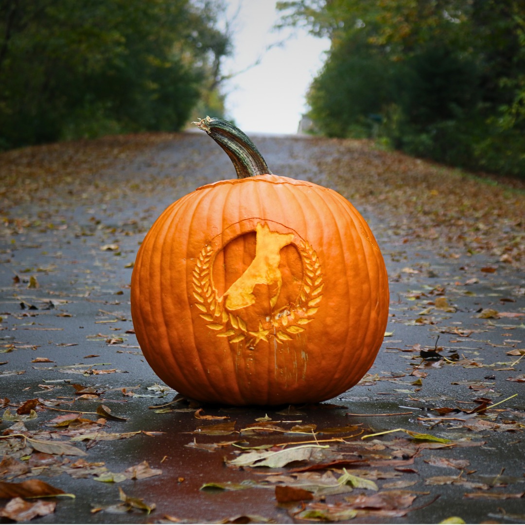 A well-trained dog is something to be thankful for. Calm holidays start with everyday practice!

📅 Realize you need help? Book now to get training started before the next holiday!
☎️ 1+ (763) 342-9250
📧 twin-cities@dogtrainingelite.com
💻https://dogtrainingelite.com/minneapolis