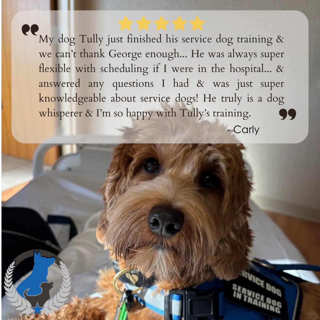 Training that works for you and your dog. 

We&rsquo;re so grateful for this kind review from one of our service dog clients! ❤️

We know life doesn&rsquo;t always go according to plan, which is why we strive to be flexible with scheduling while still providing knowledgeable, individualized training.

Whether schedules shift, goals change, or your dog needs a different approach, we&rsquo;re here to adapt and help you keep moving forward. 

Thank you for trusting us to be part of your service dog journey! We truly appreciate your kind words and the opportunity to support you and your pup. 

📅  Curious about our service dog  programs? Contact us!
☎️ 1+ (763) 342-9250
📧 twin-cities@dogtrainingelite.com
💻https://dogtrainingelite.com/minneapolis