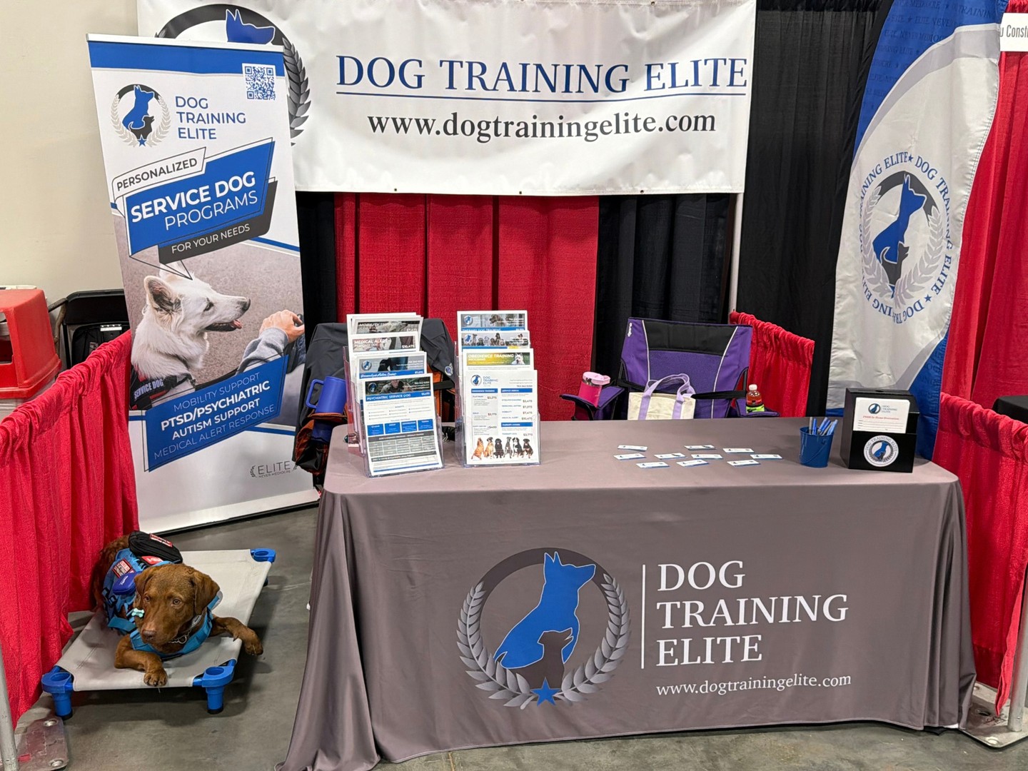 Curious about our training programs or simply want to stop by and say hello? Come visit us at the Shakopee Home Show, located at the Canterbury Downs Expo Center. We&rsquo;d love to meet you!

Can&rsquo;t make it? No worries! Contact us below.
☎️ 1+ (763) 342-9250
📧 twin-cities@dogtrainingelite.com
💻https://dogtrainingelite.com/minneapolis