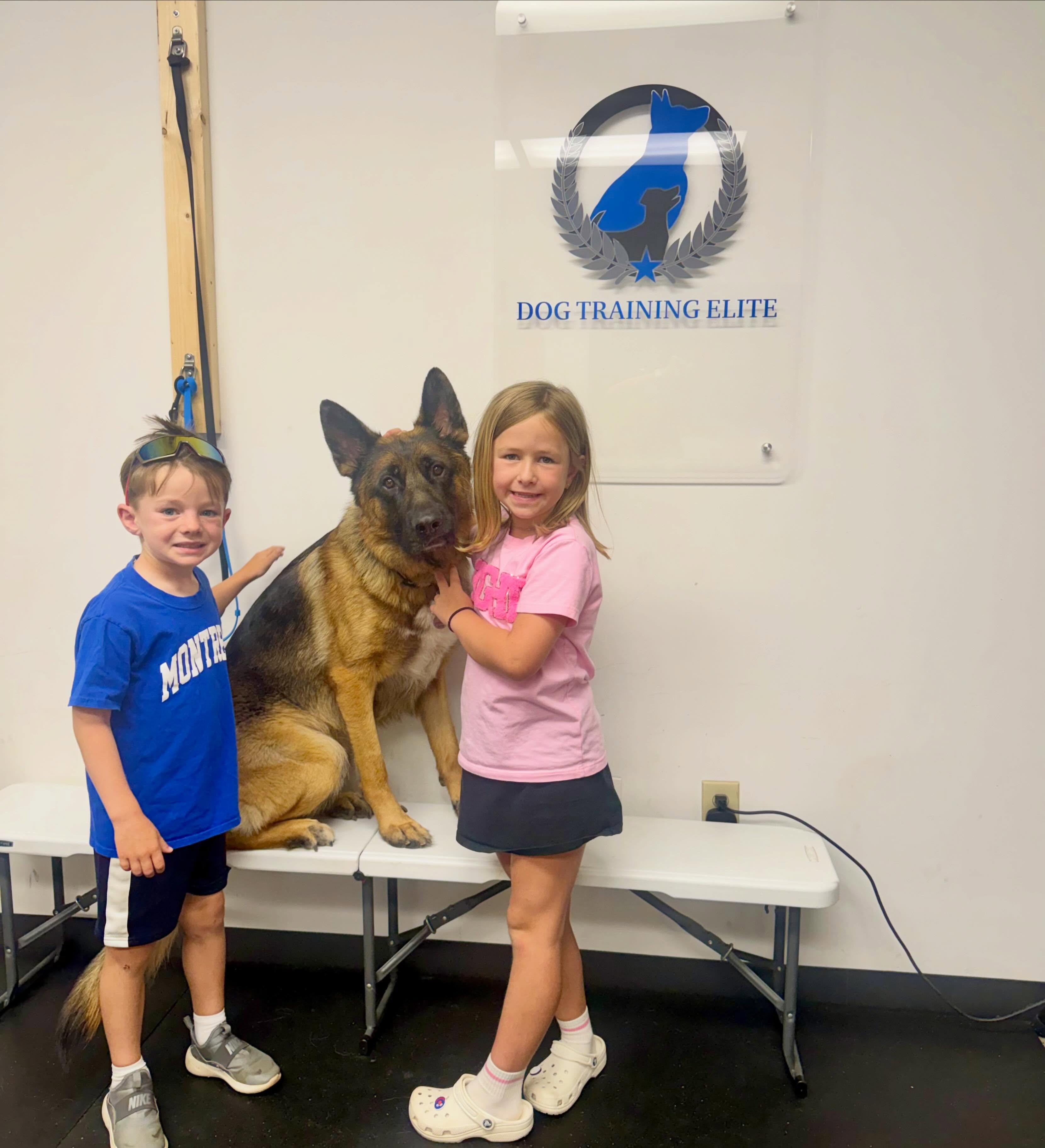 Luger had some special visitors at training today! ❤️🐾

This handsome guy is here working on conditioned retrieve tasks to help his mom with everyday life &mdash; including picking up her cane and retrieving other important items on command. Service dog work is about so much more than obedience. It&rsquo;s about creating reliability, confidence, and real-world support.

Today, Luger took a break from training to meet two of our favorite little helpers, and we&rsquo;d say everyone approved. 😊

We&rsquo;re excited to keep watching this smart boy progress through his conditioned retrieval training!