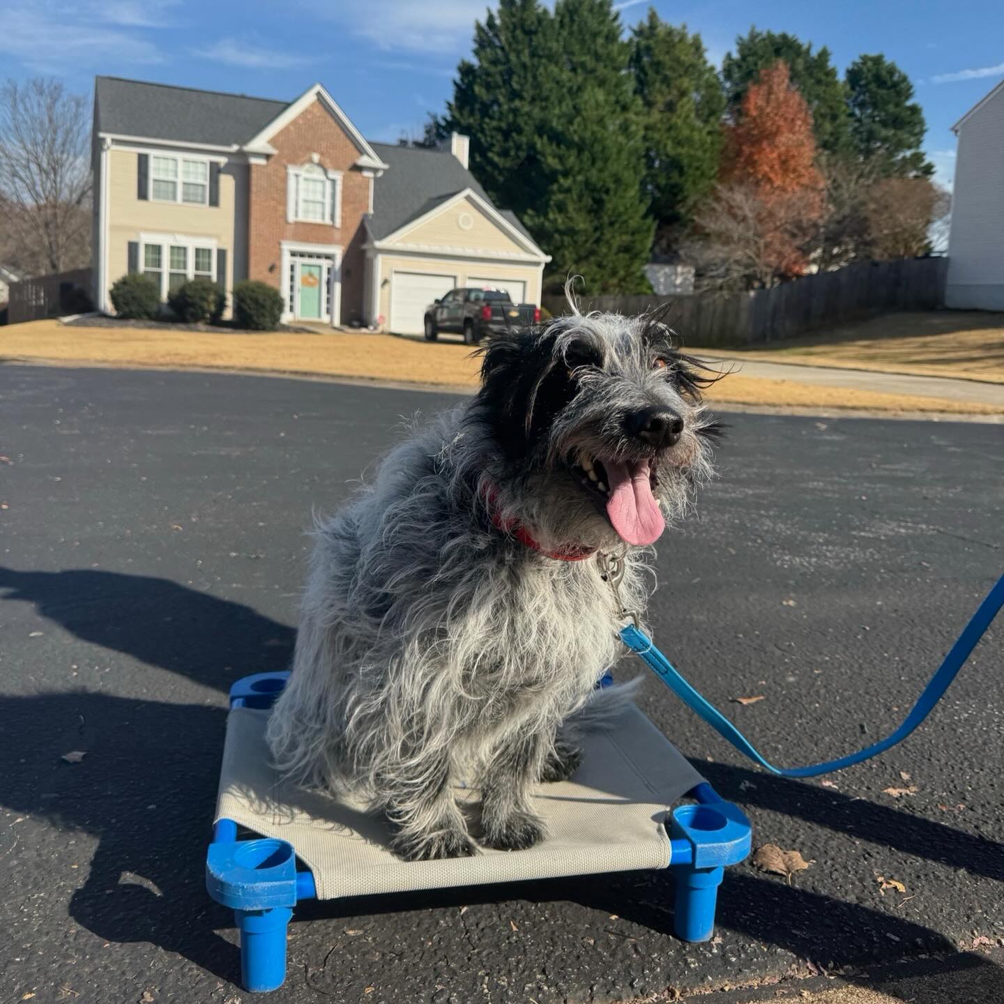 FRIYAYYY vibes from Riggins!!!