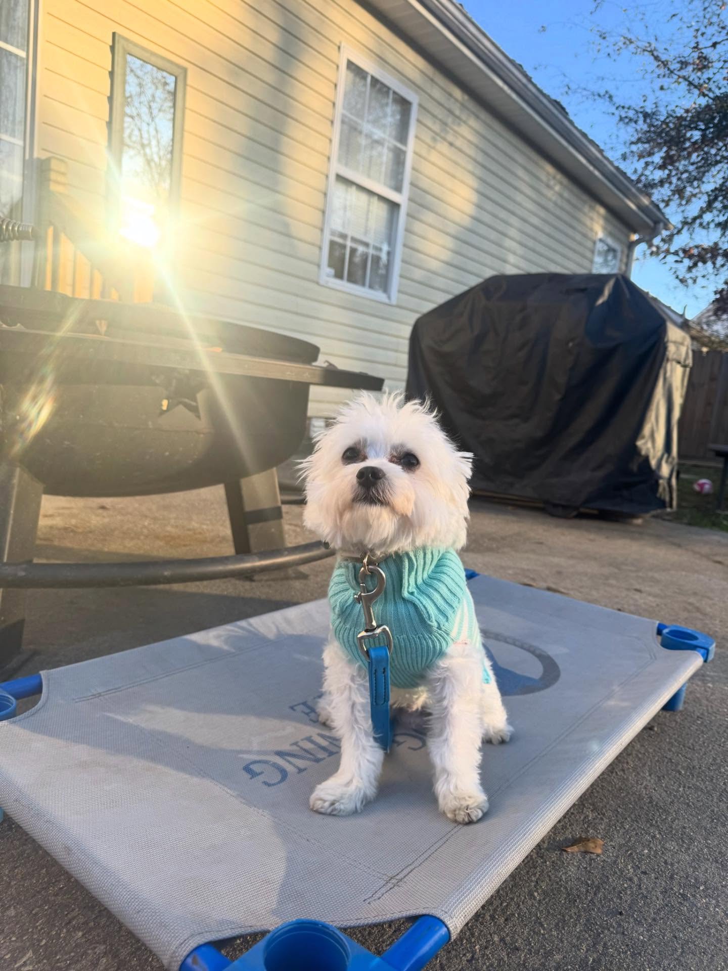 Teddy said cozy sweater + golden hour = main character energy 🤩
