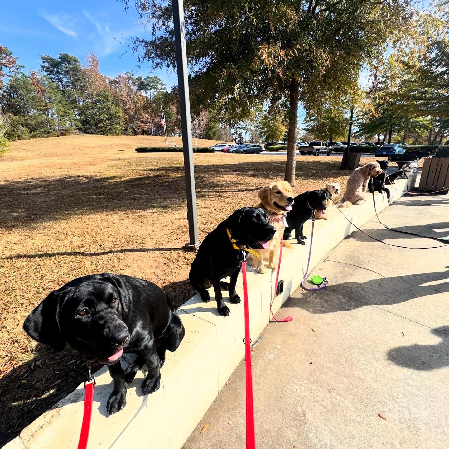 Who&rsquo;s coming to group classes today? We can&rsquo;t wait to see you there!