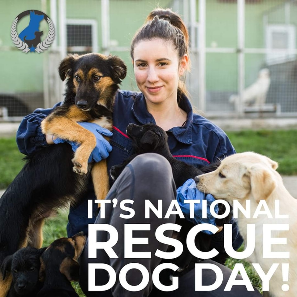 Happy National Rescue Dog Day! Drop us pictures of those adorable rescue dogs!