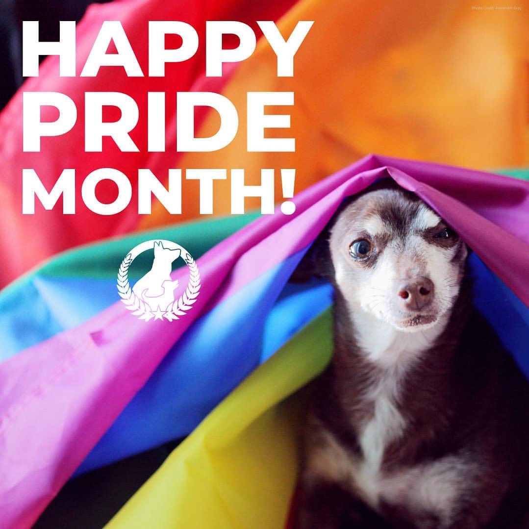 To our LGBTQ+ community, you are always welcome here. Happy pride this month, and every month! Be more like dogs and spread love! ❤️🧡💛💚💙💜🏳️‍🌈🏳️‍⚧️
