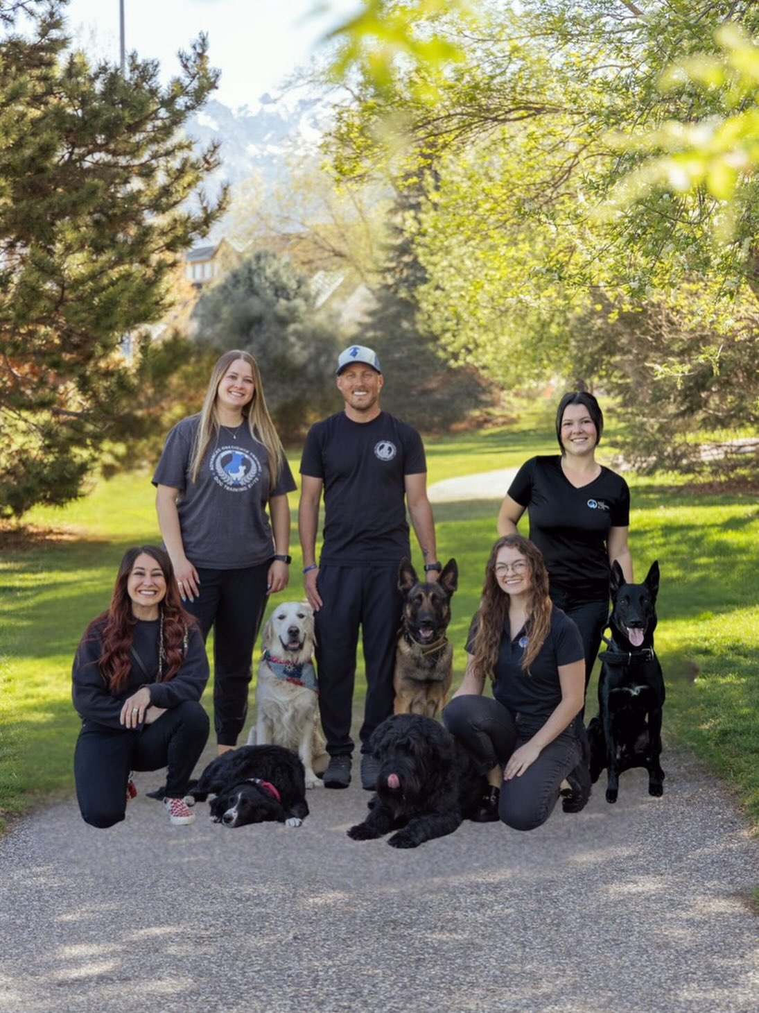 Meet the team!! 🤩 Over the next few weeks we will be introducing our trainers & staff and, of course, our dogs! Follow along to learn about each member of our team ✨

