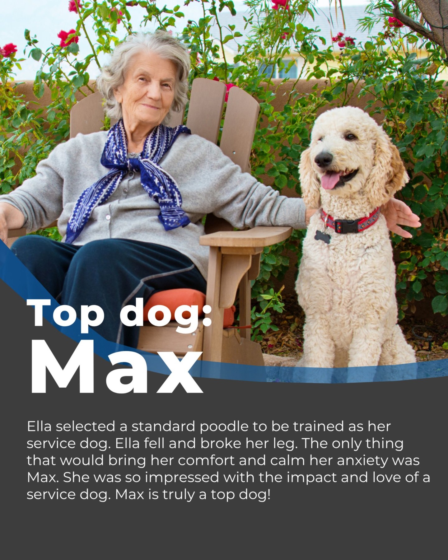 Ella selected a standard poodle to be trained as her service dog. Ella fell and broke her leg. The only thing that would bring her comfort and calm her anxiety was Max. Max helped Ella get back on her feet and kept her steady.

She was so impressed with the impact and love of a service dog. Max is truly a top dog!

