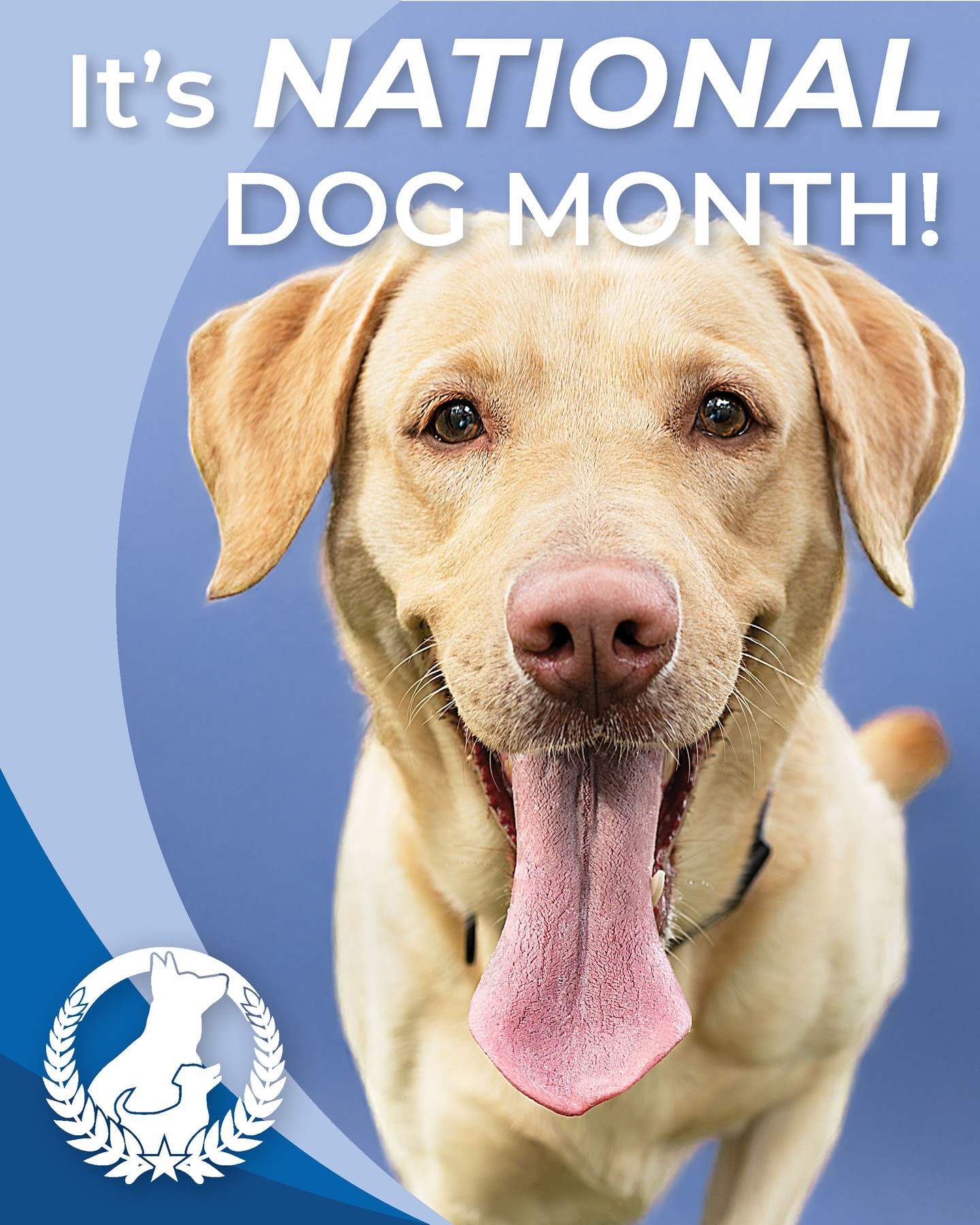 August is National Dog month! Do something for your pup by engaging them in some training to enrich their lives. 