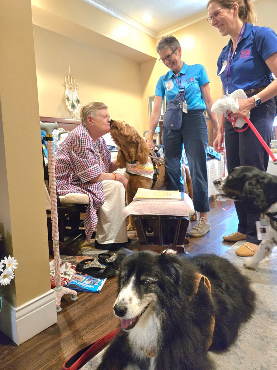 Is your pup ready to work? Therapy dogs bring so much joy to those they volunteer with and make such a difference in people's lives. Think your pup is right for the job? Give us a call today to learn more! (713) 301-5040 