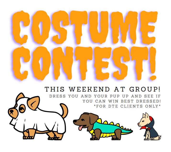 Join us this weekend at group class with you and/or your pup dressed up and see if you can win a boo bucket for best dressed! (For DTE clients only) Don't have the link? Not a DTE client yet? Reach out to us to change that! (713) 301-5040. 