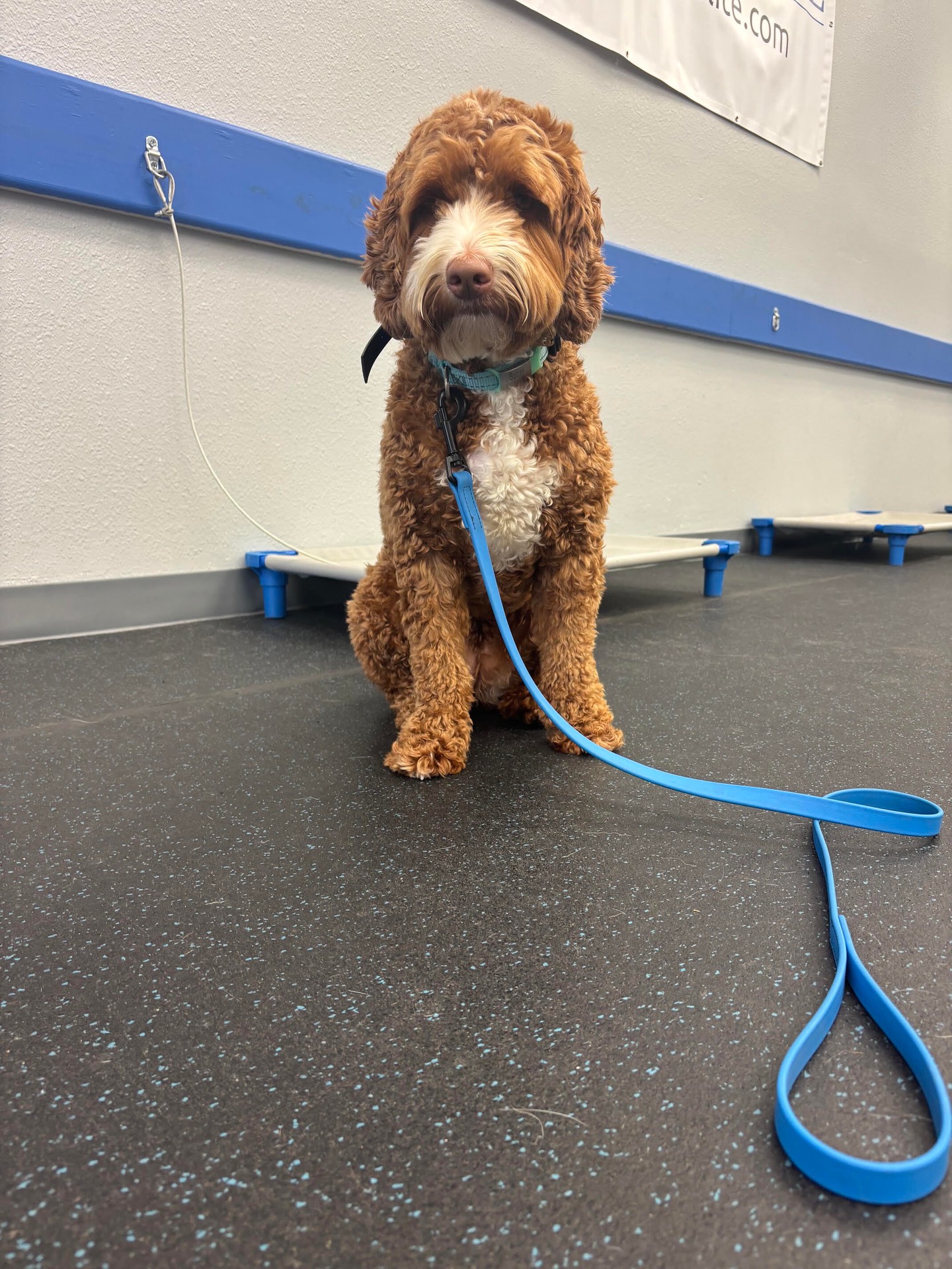 Sucre has completed her days at the facility and now we move on to her private sessions! 