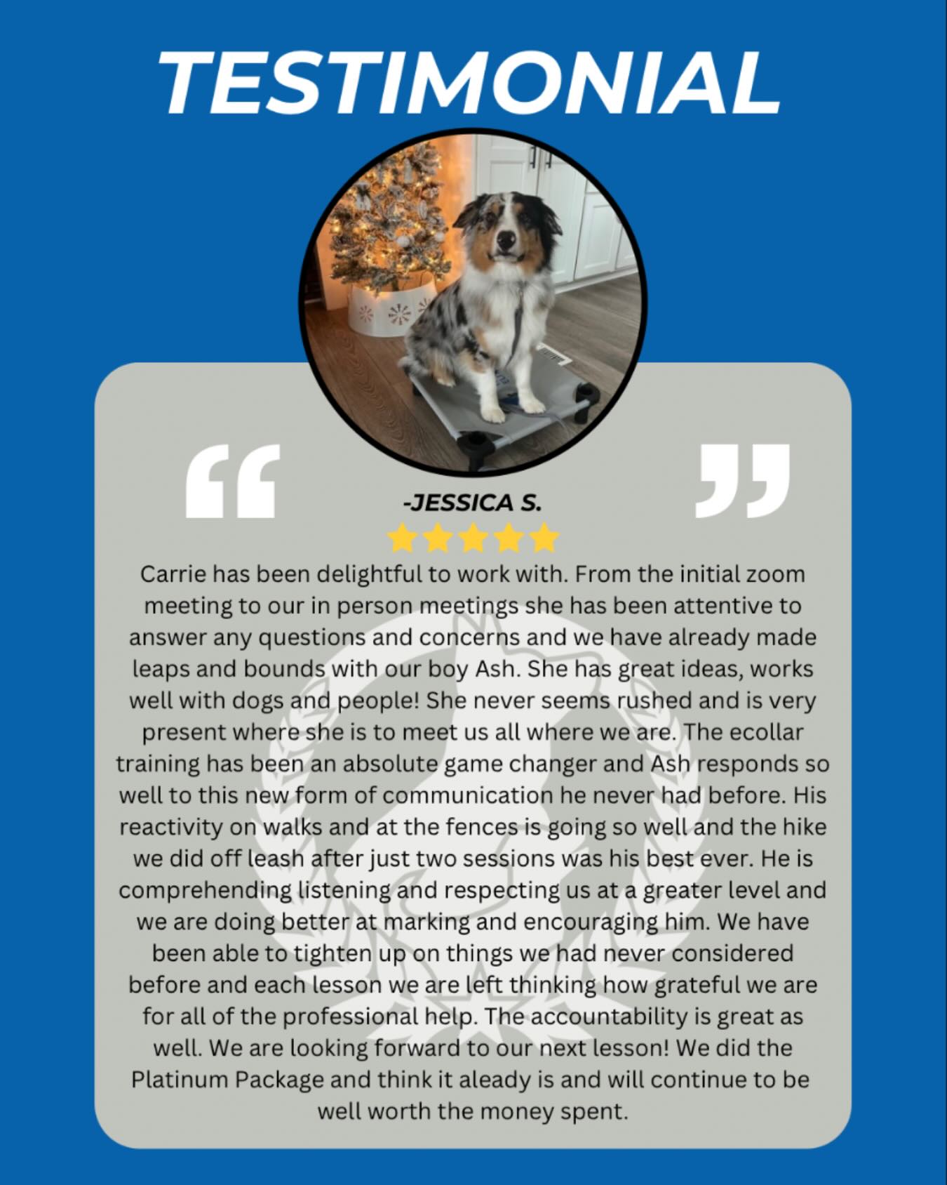 Nothing makes us prouder than seeing real progress and real confidence from the dogs and families we work with &mdash; another success story worth celebrating! 🎉🐶

At Dog Training Elite West Michigan, our balanced training helps dogs become confident, reliable, and focused. From Grand Rapids to Muskegon, Holland, and beyond, we support families with structure, clarity, and proven training methods. 💪🐕

🎯 Whether you&rsquo;re working on solid obedience or preparing a future service or therapy dog, we&rsquo;re here to help your dog thrive this season.
👉 https://dogtrainingelite.com/grand-rapids


DogLover PuppyTraining GoodDogGoals DogsOfIG HappyDogsHappyHomes InHomeDogTraining DogTrainingElite EliteTrainingForDogs