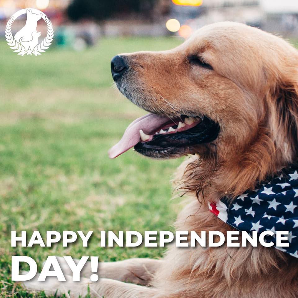 🇺🇸As we celebrate our nation’s freedom, we honor the brave people dedicated to preserving it. ♥️🤍💙



🇺🇸 

