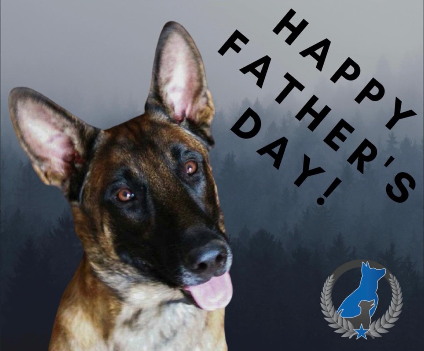 Happy Father’s Day! 🐾💙🐕‍🦺
.
.
.



