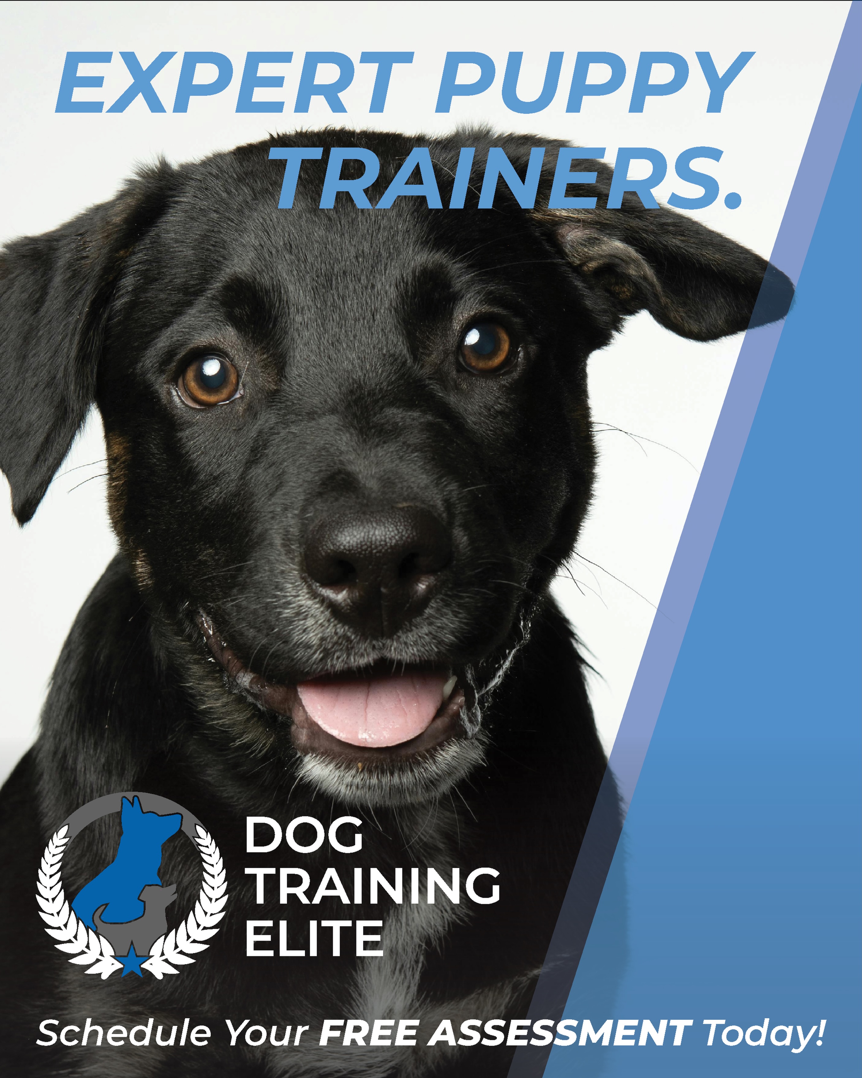 🐶 Expert Puppy Trainers = Better Starts, Better Dogs 🐾

Puppies don&rsquo;t just &ldquo;grow out of it.&rdquo; Jumping, pulling, barking, and bad habits often grow with them without proper guidance.

Start training early with expert puppy trainers who help build confidence, obedience, and real-world manners from the start. 🦴✨

📲 Learn more today and give your puppy the best foundation possible!

