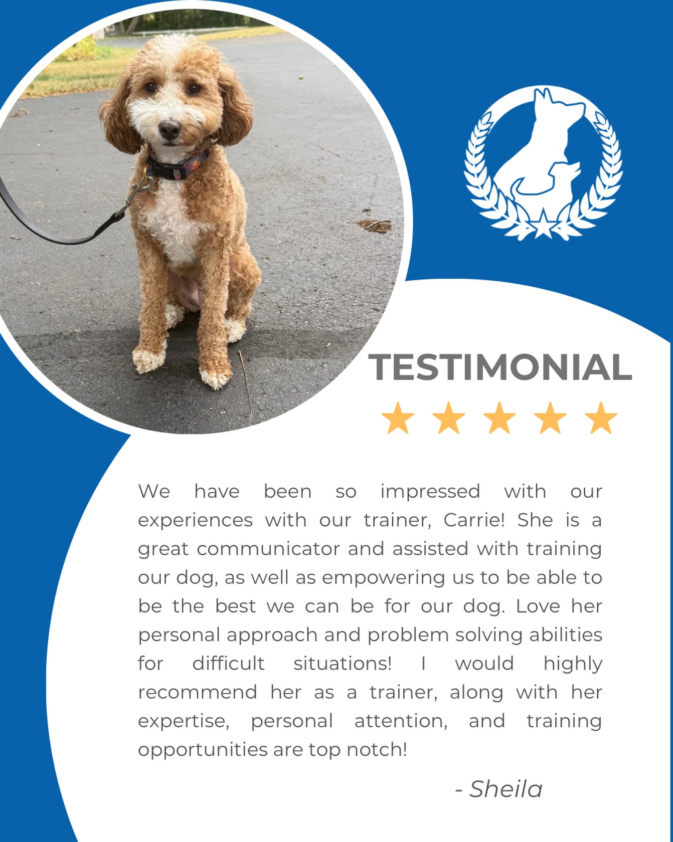 Real results. Real support. Real-life training. 🐾

We love hearing that our clients feel empowered and confident, not just that their dogs are learning!

From communication and problem-solving to personalized training, we&rsquo;re here to help you become the best handler you can be. 💙

Ready to get started? DM us to learn more!

