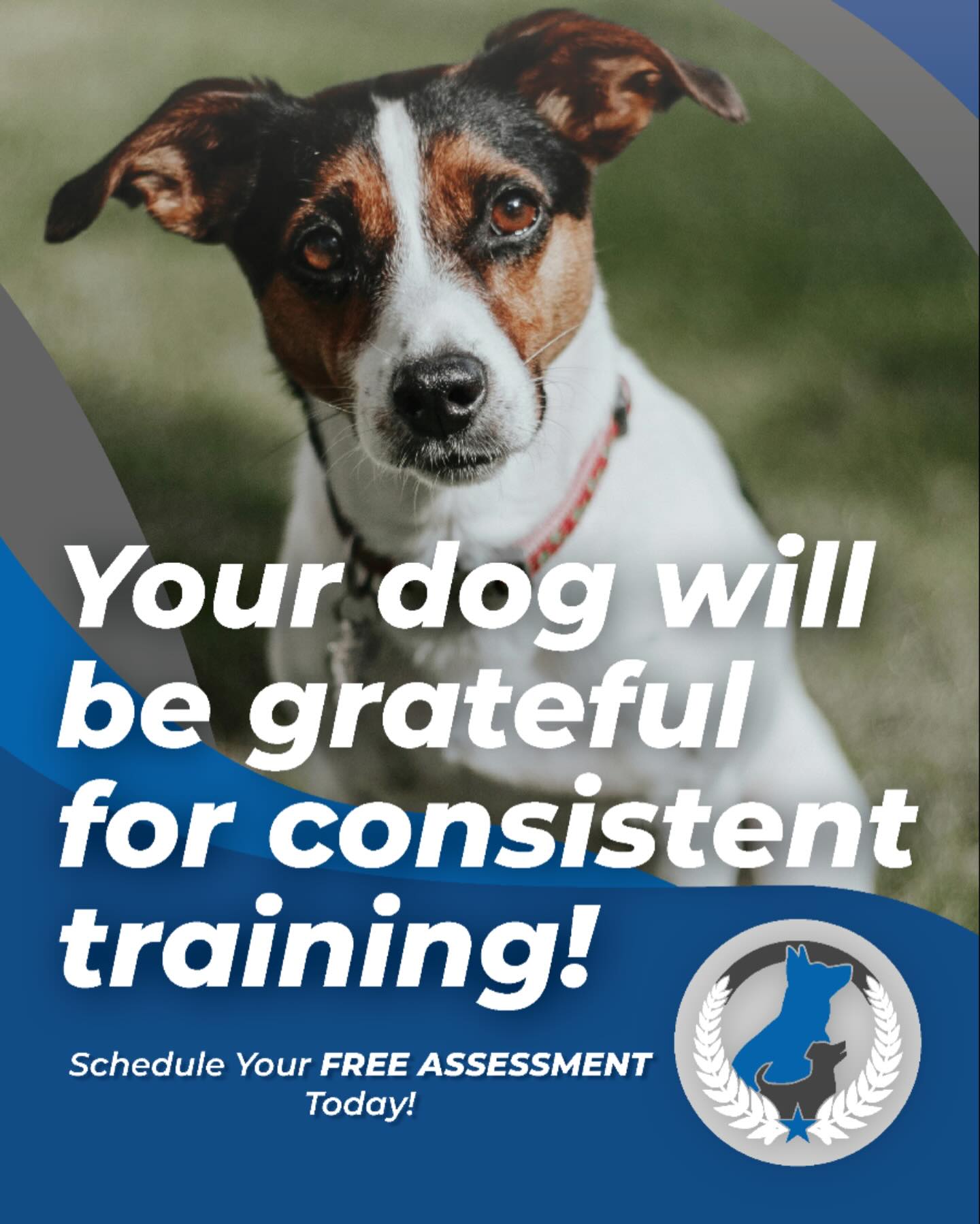 🏡Your home feels different when your dog understands what&rsquo;s being asked of them &mdash; calmer walks, smoother routines, and a whole lot less stress for everyone. 🐾✨

Your dog will be grateful for consistent training, and you&rsquo;ll feel the difference, too. 😅💙

Ready to get started?
Schedule your FREE assessment today! 📆🙌

👉 Serving Grand Rapids, Muskegon, Holland, and surrounding areas
dogtrainingelite.com/west-michigan

TrainForCalm