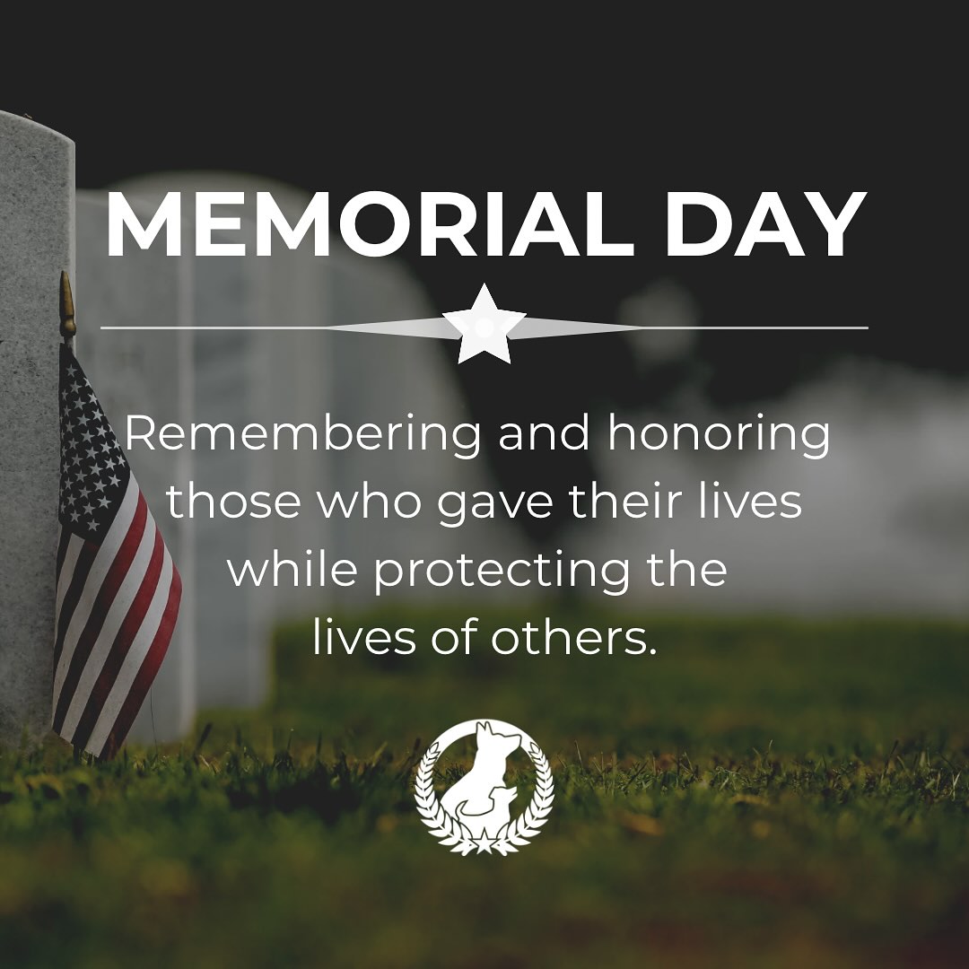 🇺🇸 This Memorial Day, we remember.
Today we honor the brave men, women, and military working dogs who gave everything in service to our country. Your sacrifice will never be forgotten.

From all of us at Dog Training Elite West Michigan—thank you.
