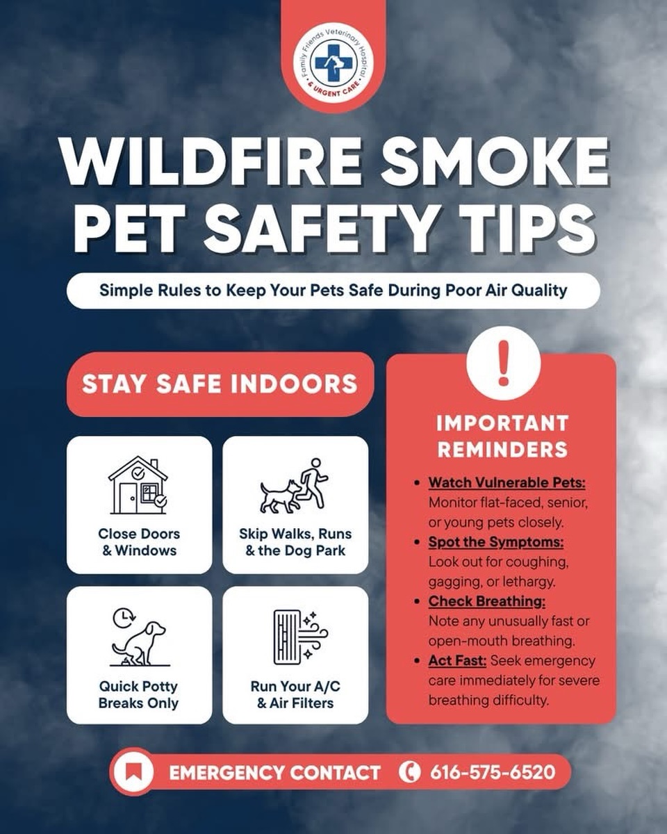🔥 Wildfire smoke isn&rsquo;t just hard on people, it can be hard on our dogs, too.

When in doubt, stay inside, enjoy some enrichment games, and wait for cleaner air. Great tips below from a trusted vet in our area @familyfriendsveterinary 🐾💙

