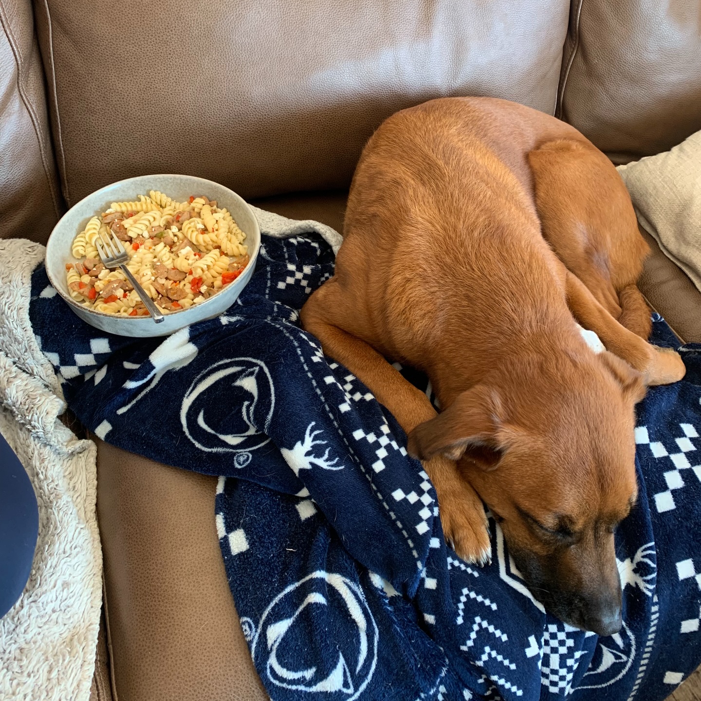 Food is one of the biggest triggers for unwanted behaviors, but it&rsquo;s also one of the best training tools when used correctly. 🐾🍲

At DTE, we focus on impulse control and accountability to help dogs remain neutral and engaged, even around high-value rewards like food.

Resource guarding isn&rsquo;t something to ignore! It&rsquo;s something to address with structure, consistency, and proper leadership. When dogs understand expectations, they don&rsquo;t feel the need to react, they learn to stay calm and in control.

Struggling with food-related behaviors? Let&rsquo;s build better habits together. Tap the link in bio to request a free assessment! 

