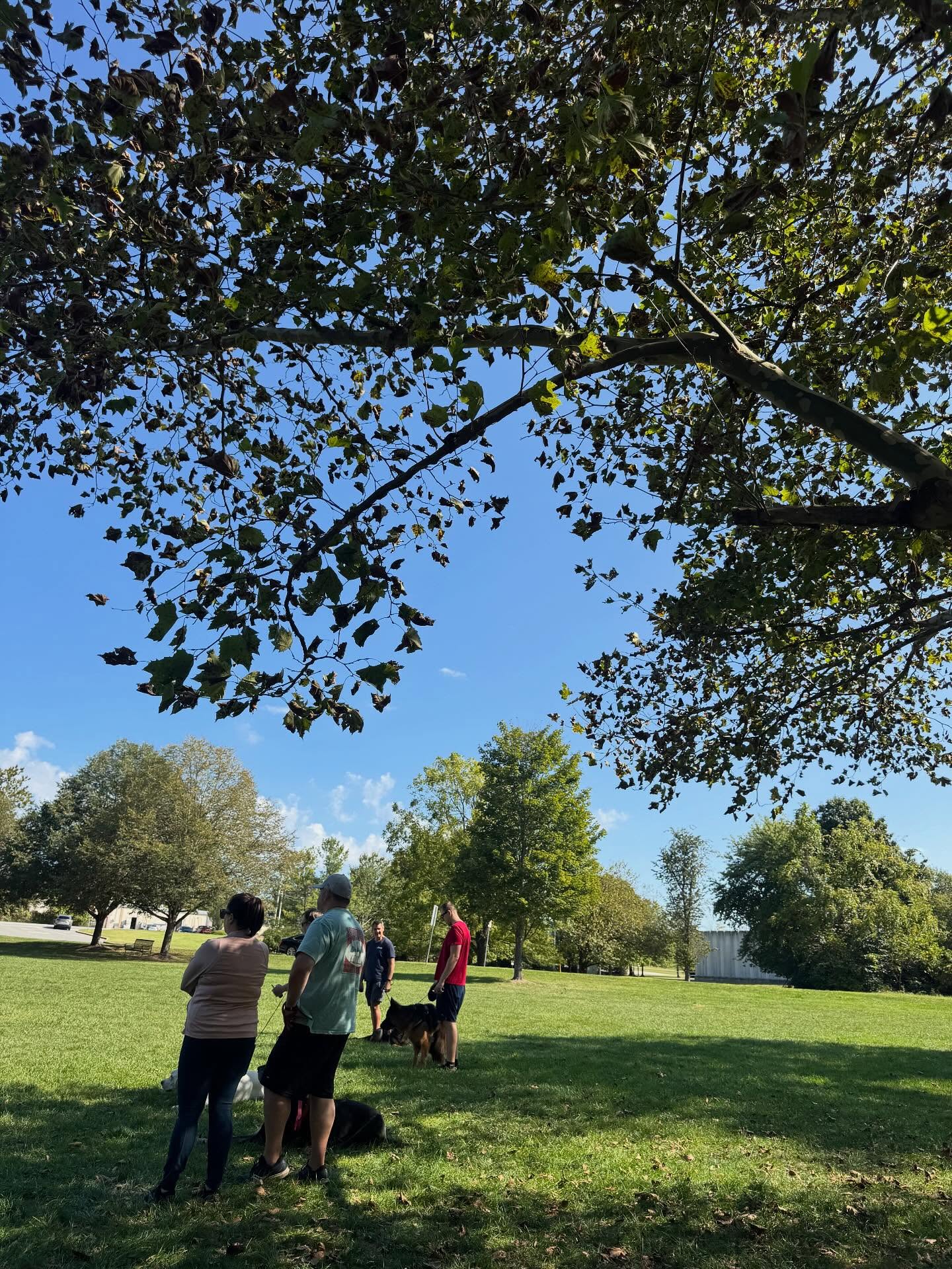 What a beautiful day! Happy weekend, DTE pack! 💙

