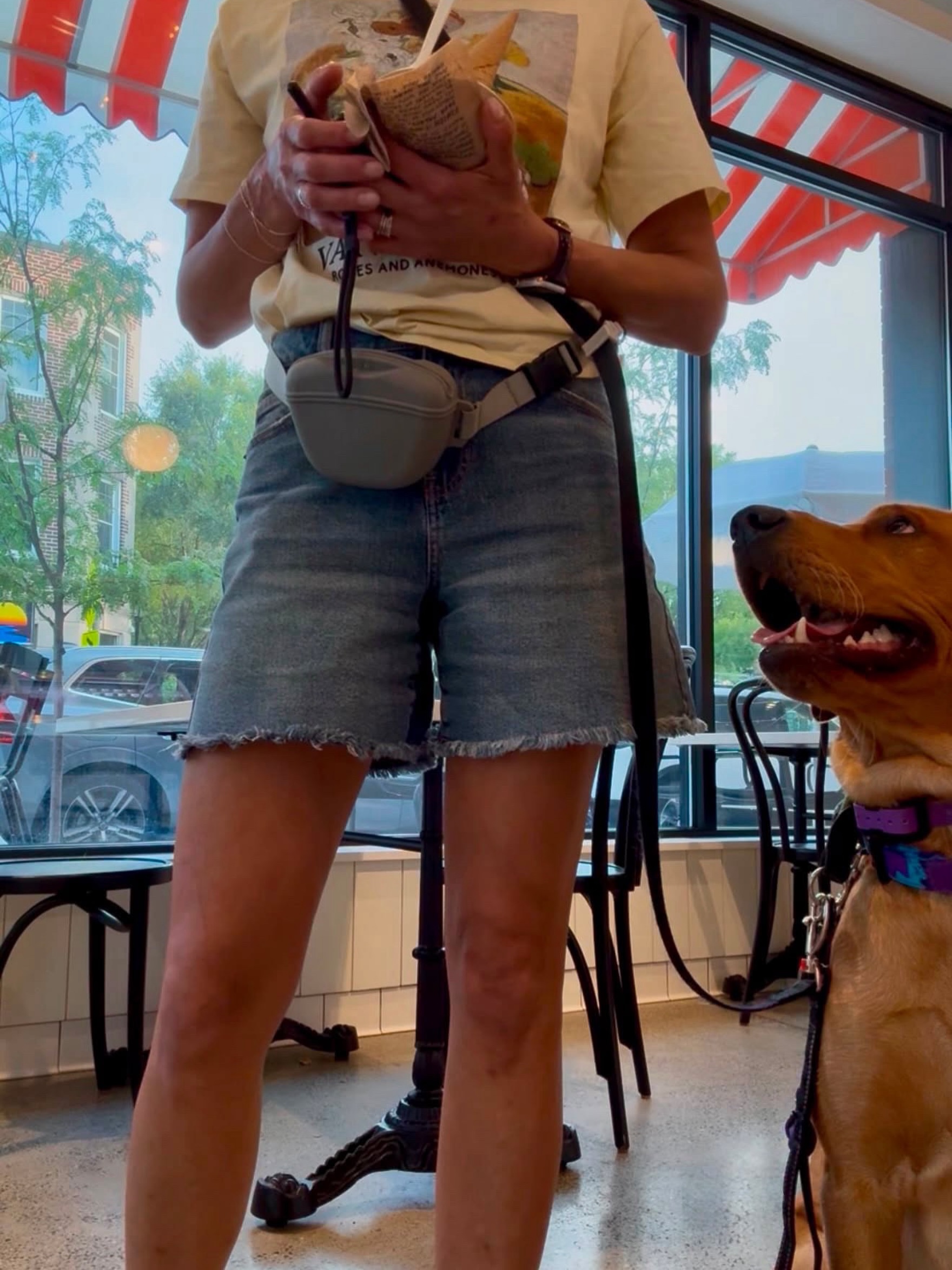 Another special shout out to our service dog trainee, Echo! This time for an ice cream date 🦮🍦We love seeing our service dogs accompanying their owners and stayed focused in public environments. @alongwithecho 

Interested in the service dog training process? Tap the link in bio or DM us for more information. 