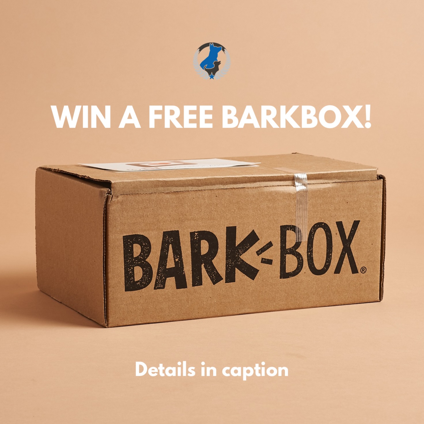 FINAL DAYS TO ENTER! 🐾🎃 We want to see your pup&rsquo;s spookiest, silliest, or cutest Halloween costume for the chance to win a FREE BarkBox!

To enter:
Send us a photo of your dog dressed up for Halloween OR tag @dogtrainingeliteofmainline in your post.

We want to see all the adorable costumes, so get creative! Submit your photos by Saturday, October 31st for your chance to win. Good luck! 