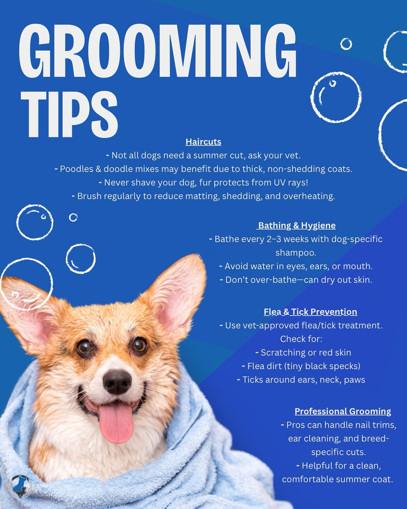 Keep your pup looking & feeling good. 🛁✂️ For more essential dog care tips & training info, visit the link in bio!

