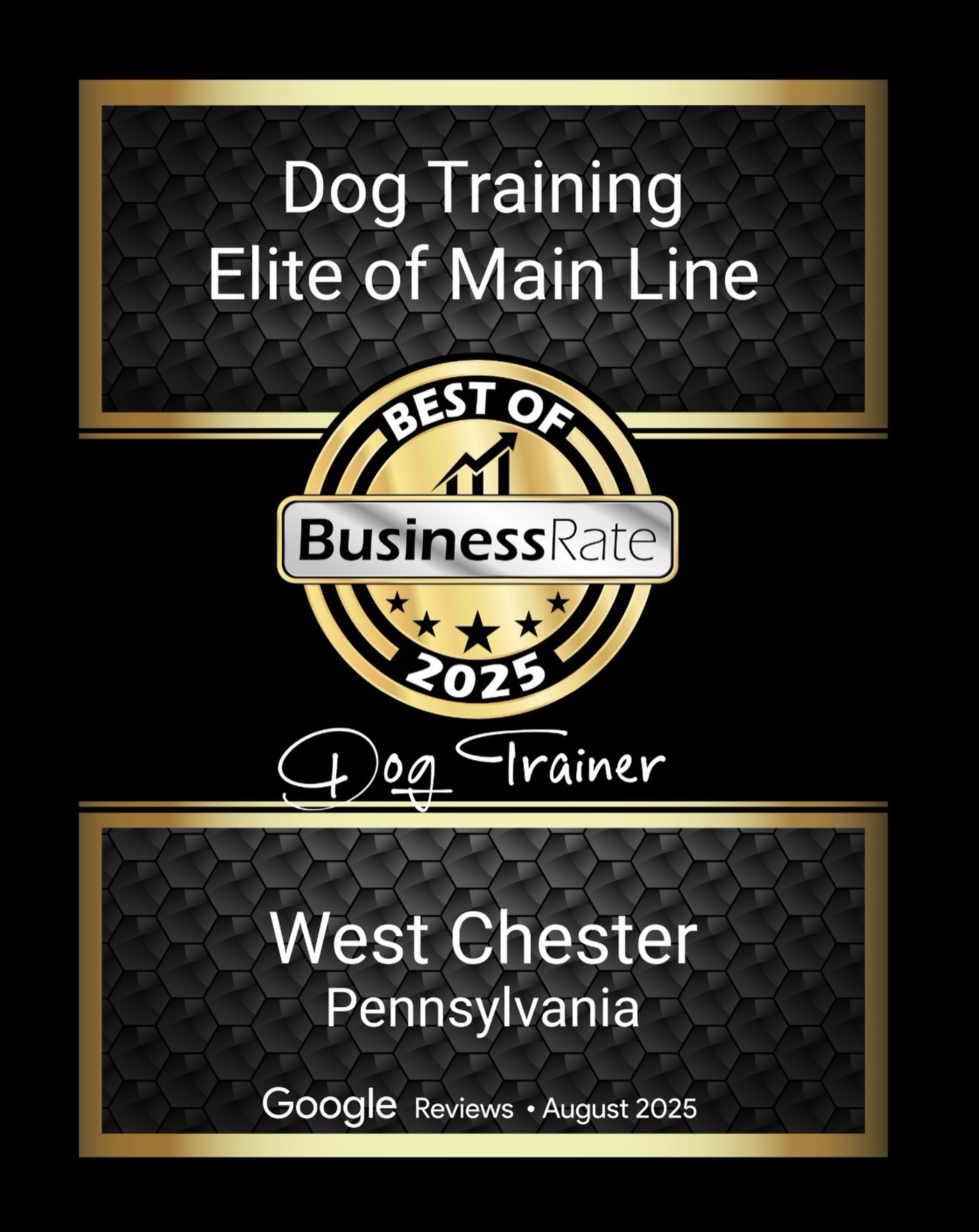 🏆 Honored to be named Best of BusinessRate 2025 for Dog Training in West Chester, PA. Thank you to our amazing clients and their dogs for the trust and support! ⭐️

