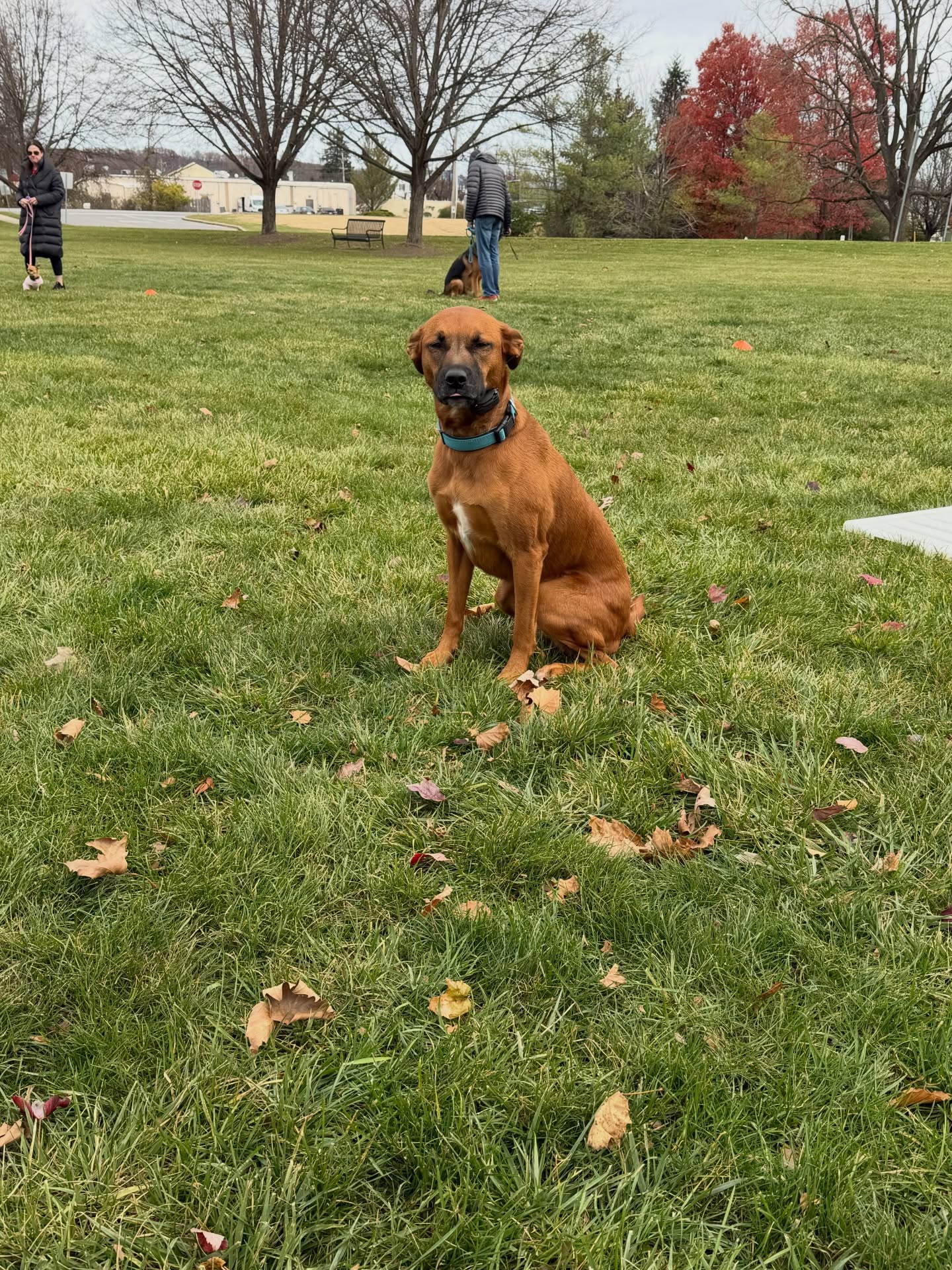 Happy Saturday to our paw-pack! 🐾 Hope you all are having a great weekend. 😊

