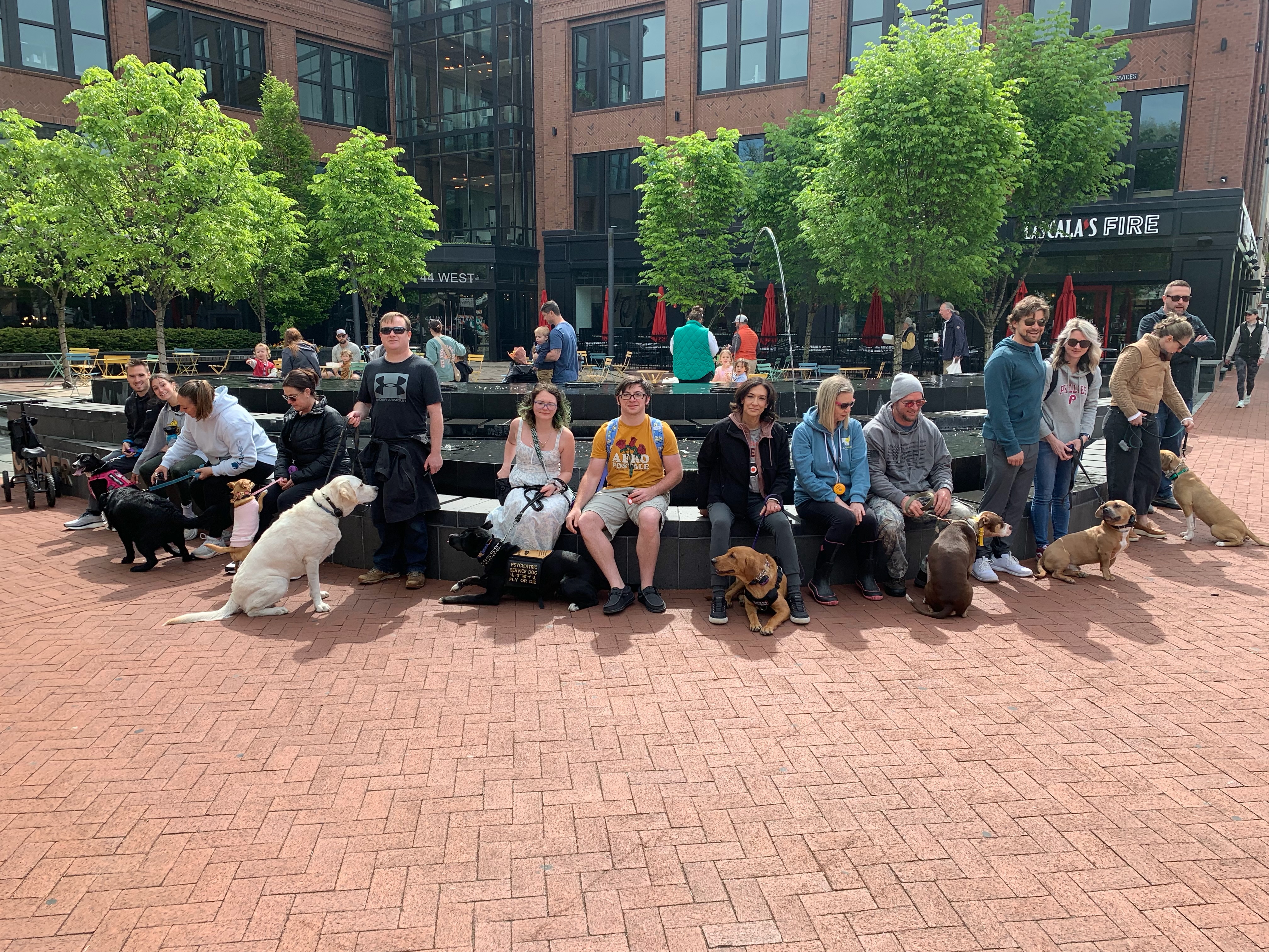 So much fun today at group training in West Chester! Great job, paw pack! 🐾🦮☀️

