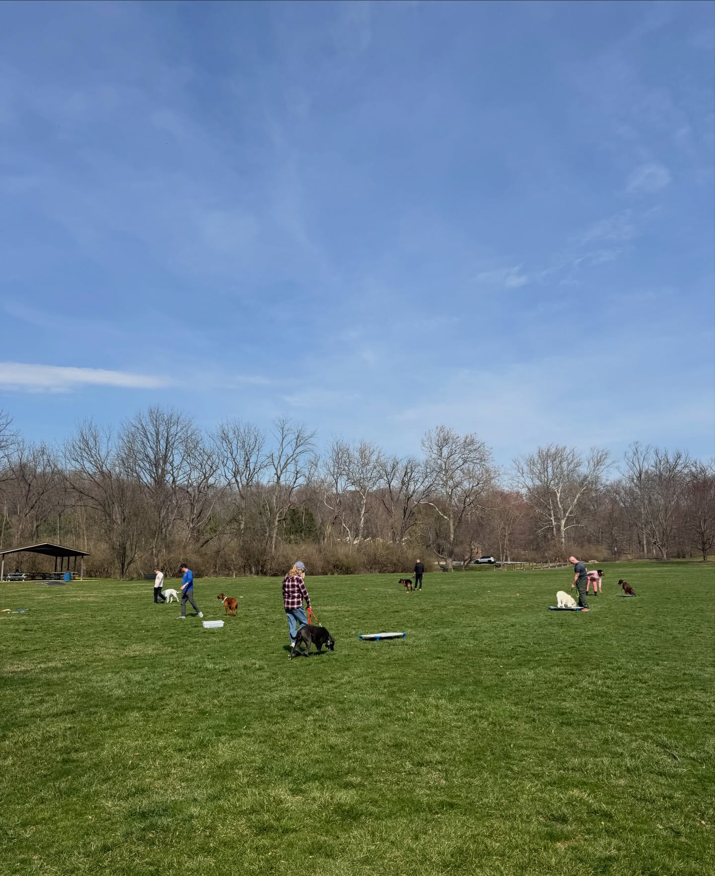 Soaking up the sunshine ☀️ Hope you got the chance to enjoy some time training outside with your pup this weekend!


