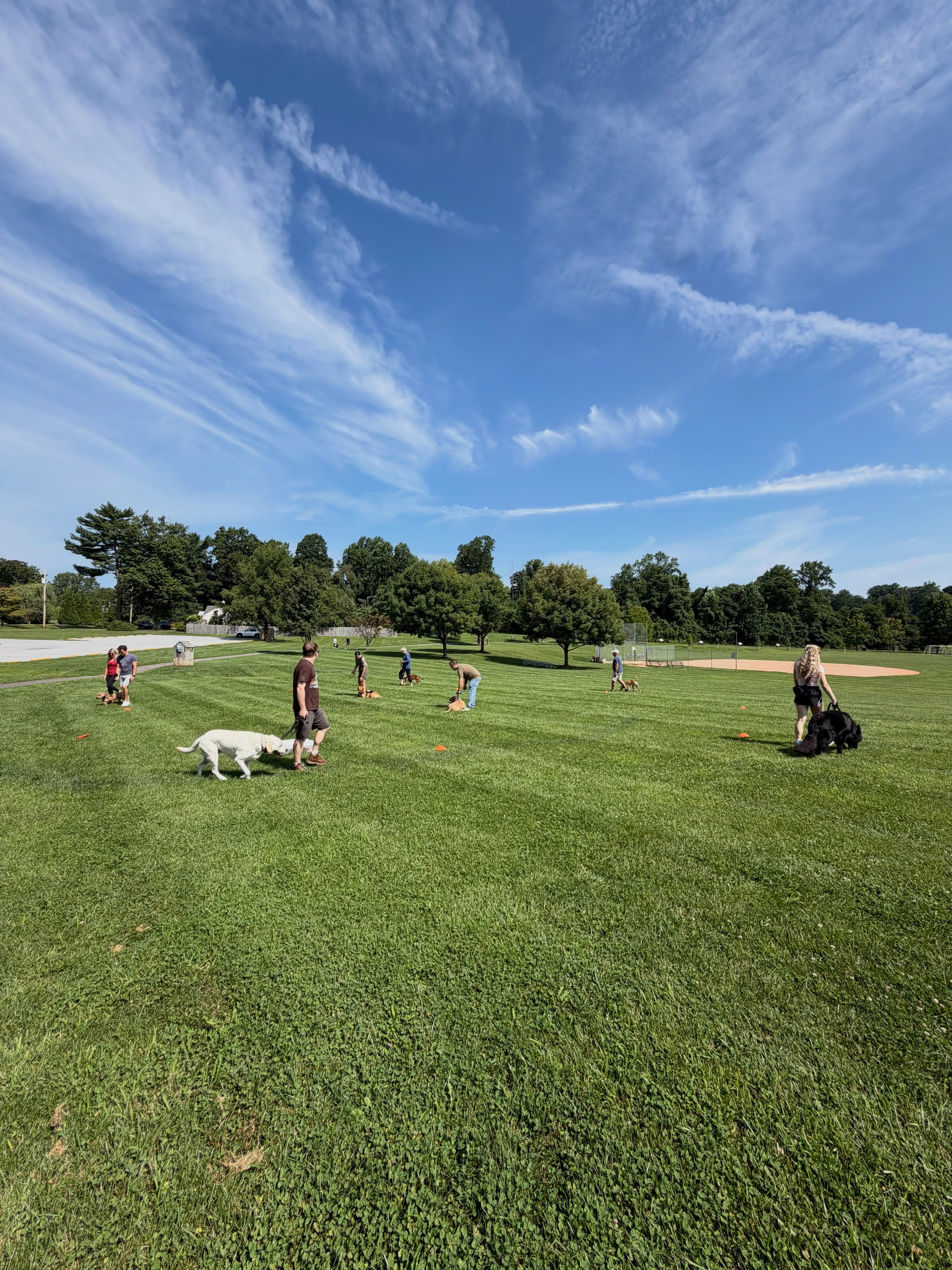 A glimpse from today&rsquo;s group training class! Great work everyone 😊🐾🐾

Ready to get started? Tap the link in bio or DM us to learn more. 