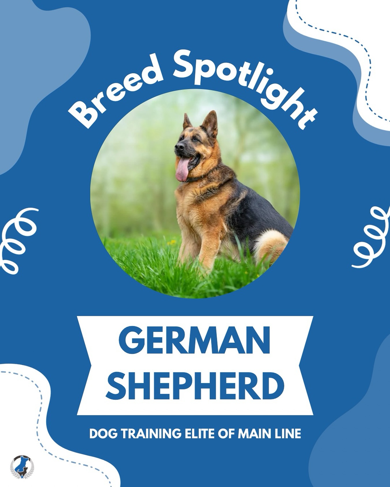 Breed Spotlight: German Shepherd! Smart, loyal, and always eager to learn, German Shepherds excel in training when given structure and mental stimulation. Perfect companions for active families and those who love a challenge.

Do you have a German Shepherd? Tell us your favorite training moment below! 👇 🦴

